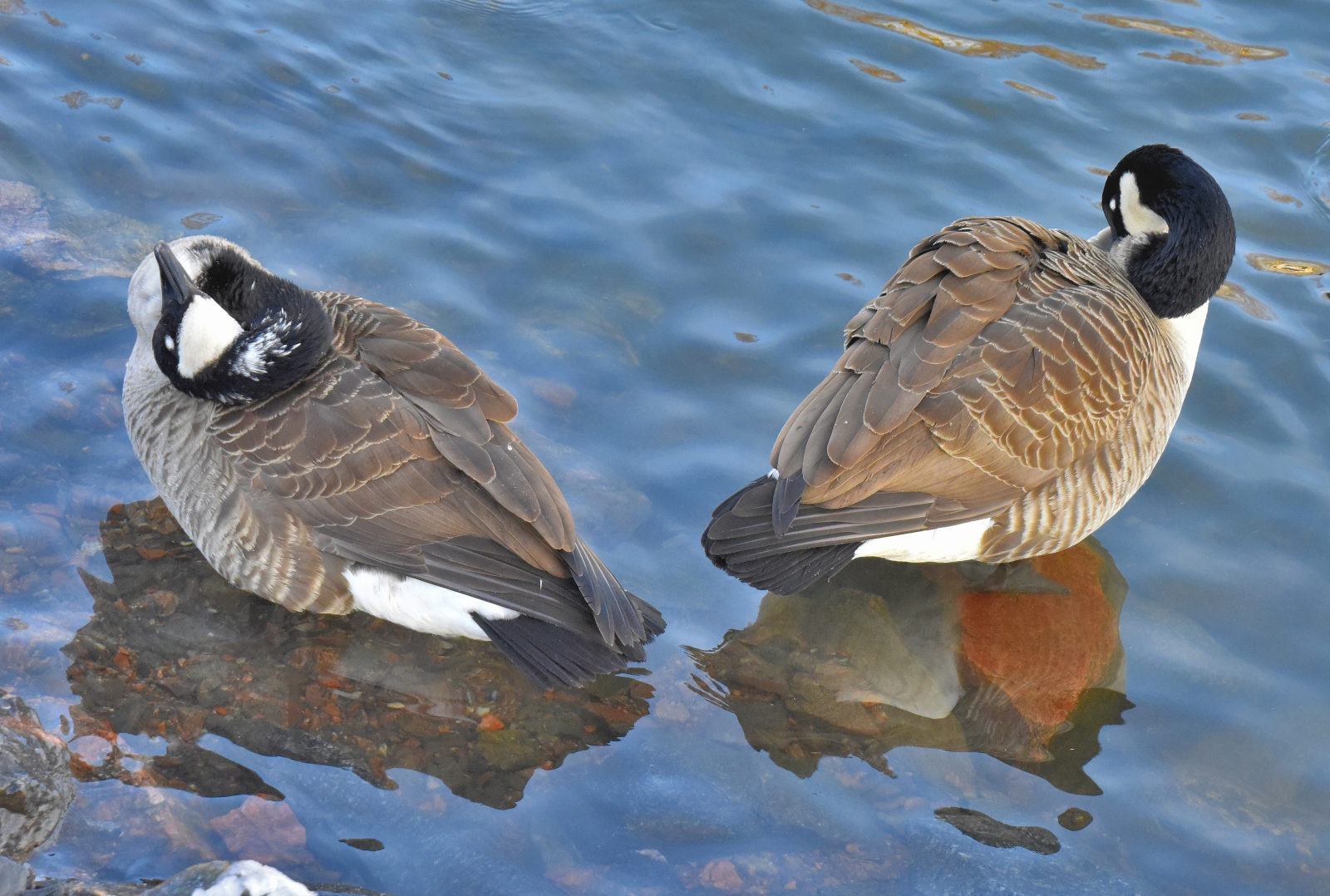 Valokuvaaja: Reijo Juurinen Valokuvaaja: Reijo Juurinen