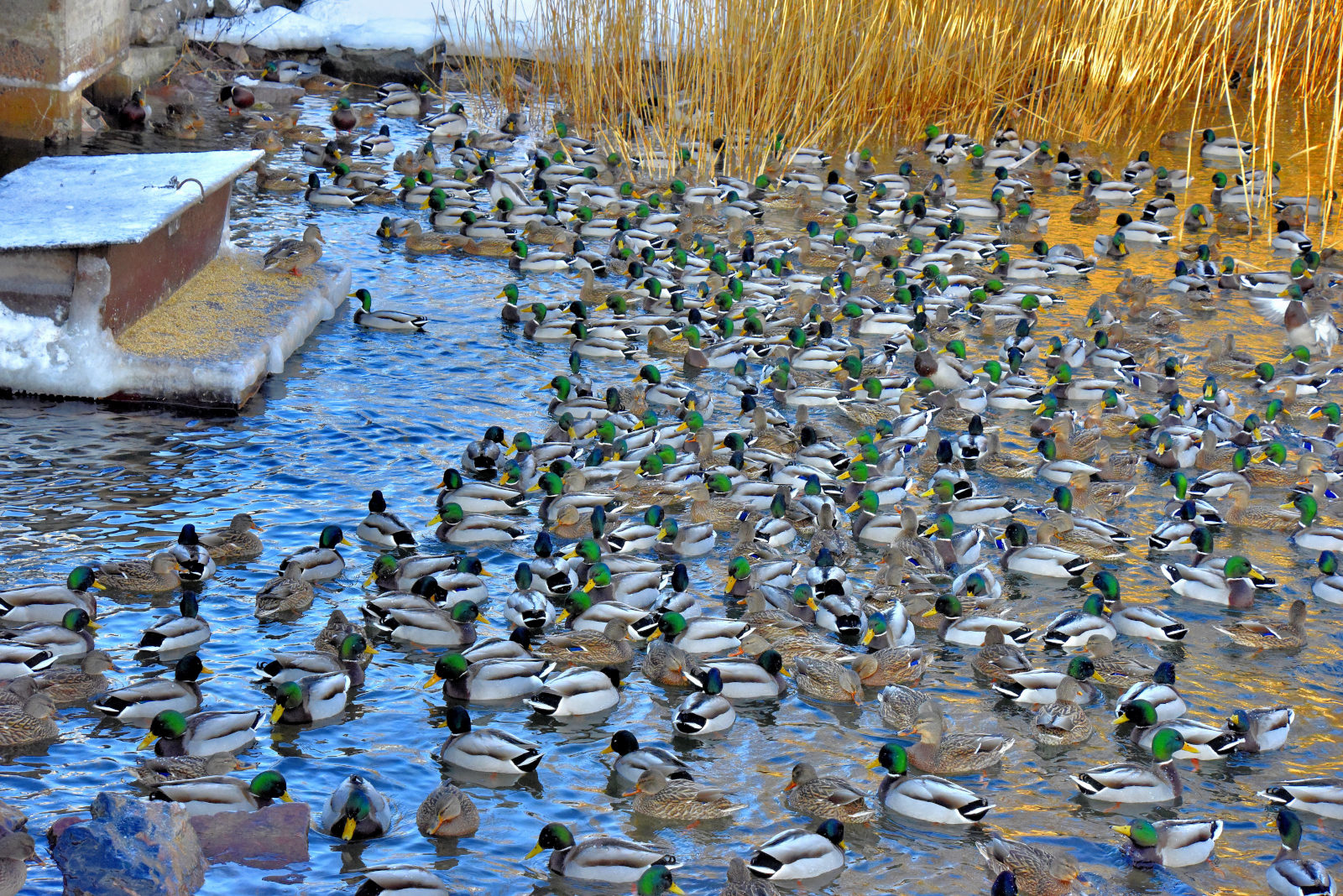 Valokuvaaja: Reijo Juurinen