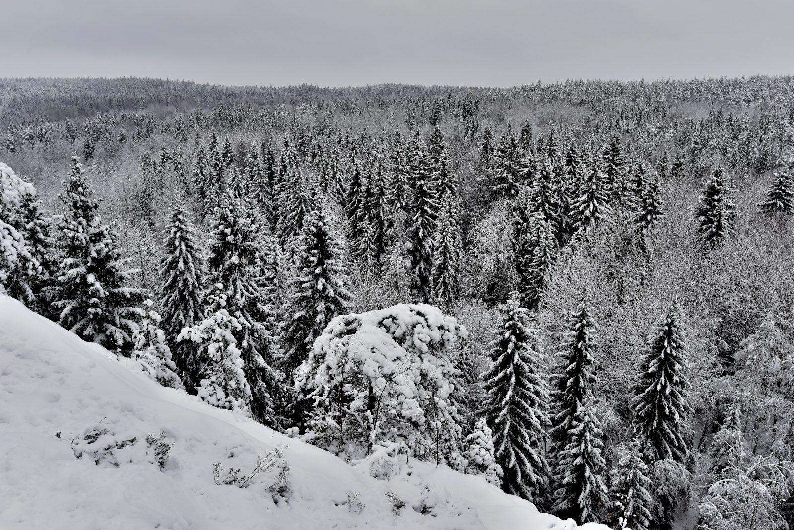 Valokuvaaja: Reijo Juurinen