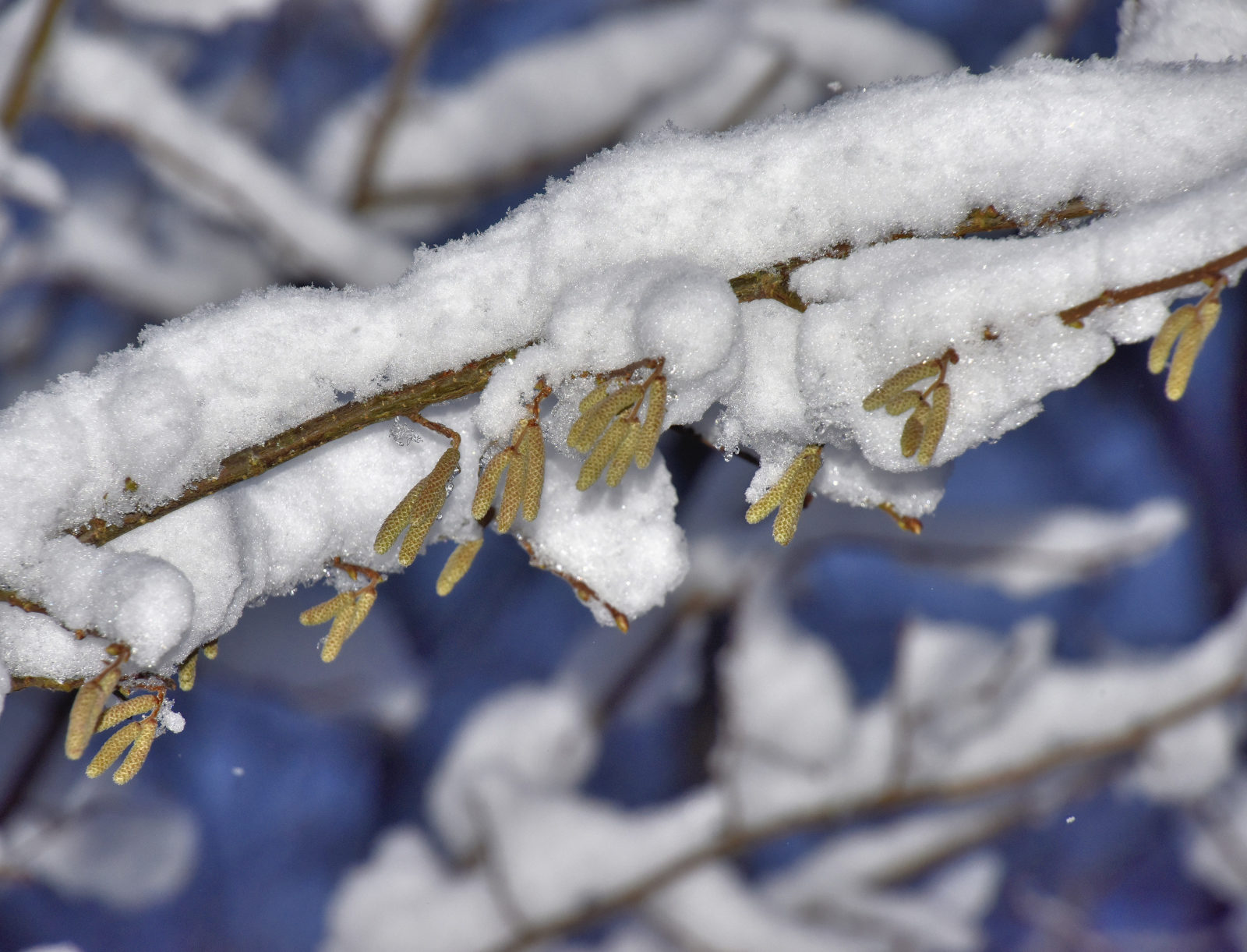 Valokuvaaja: Reijo Juurinen
