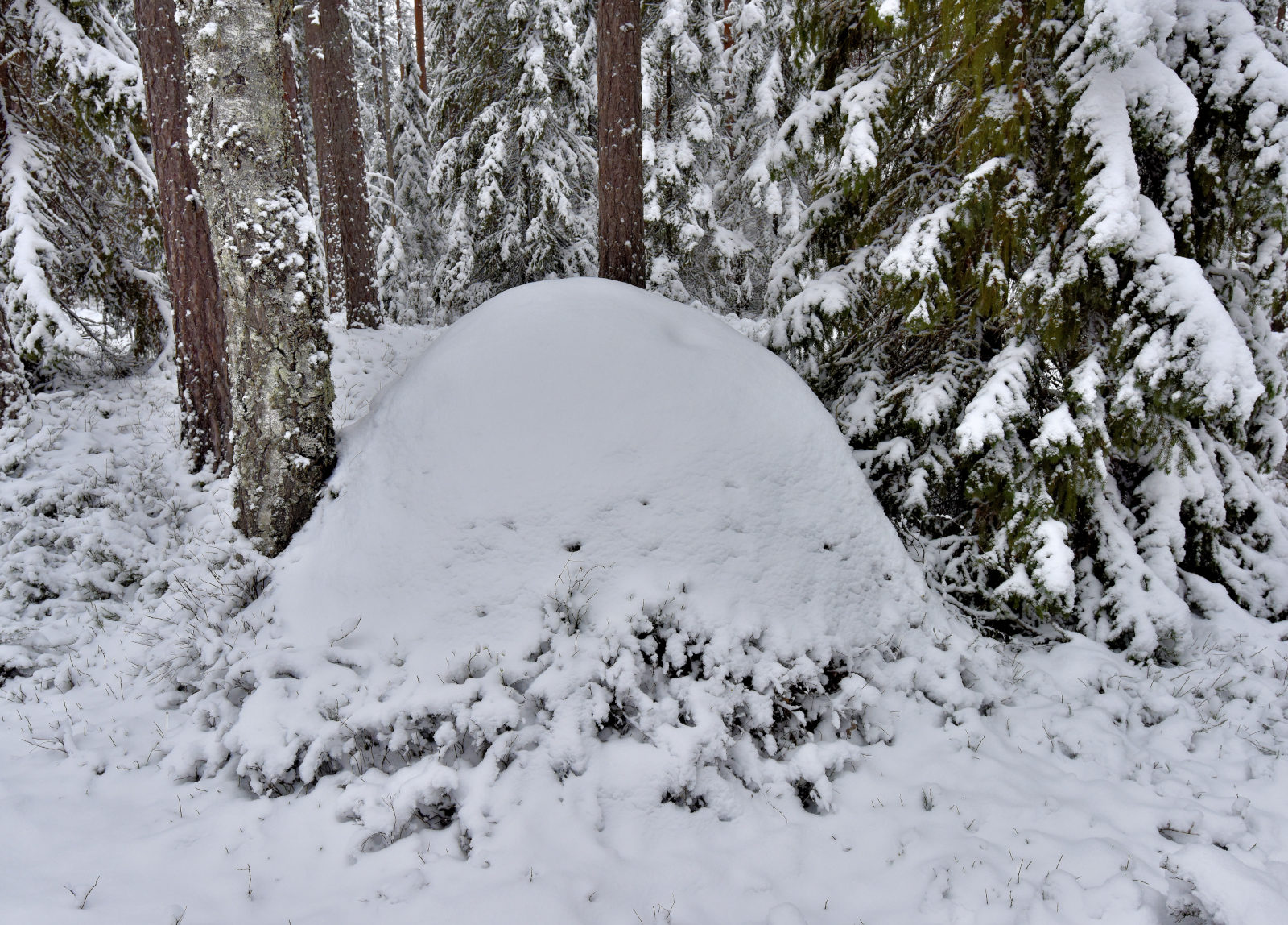 Valokuvaaja: Reijo Juurinen