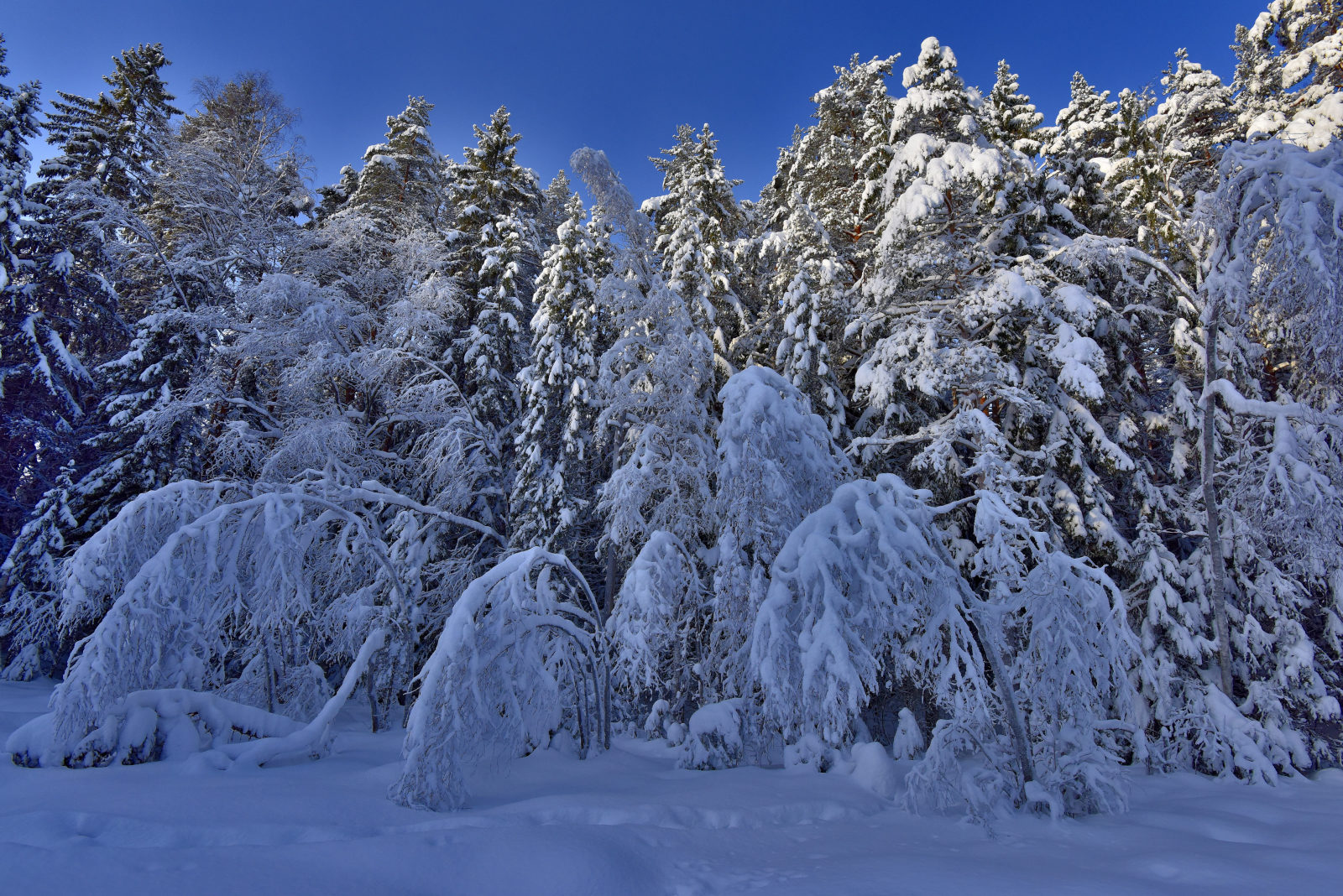 Valokuvaaja: Reijo Juurinen