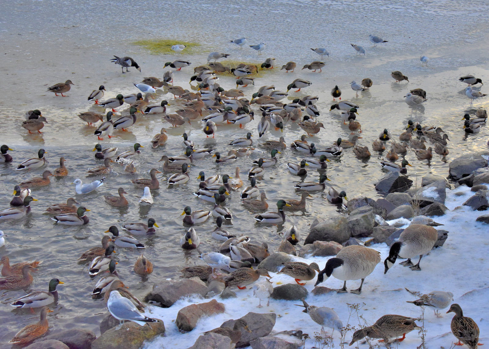 Valokuvaaja: Reijo Juurinen Valokuvaaja: Reijo Juurinen