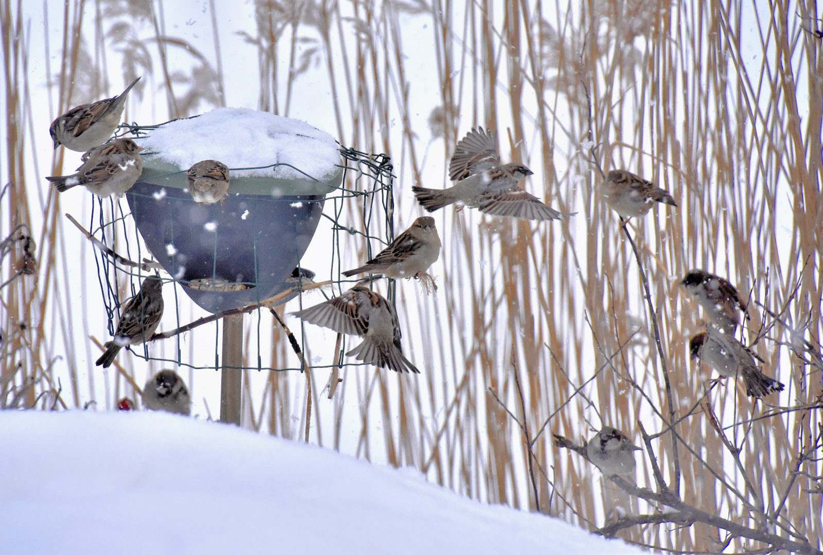 Valokuvaaja: Reijo Juurinen