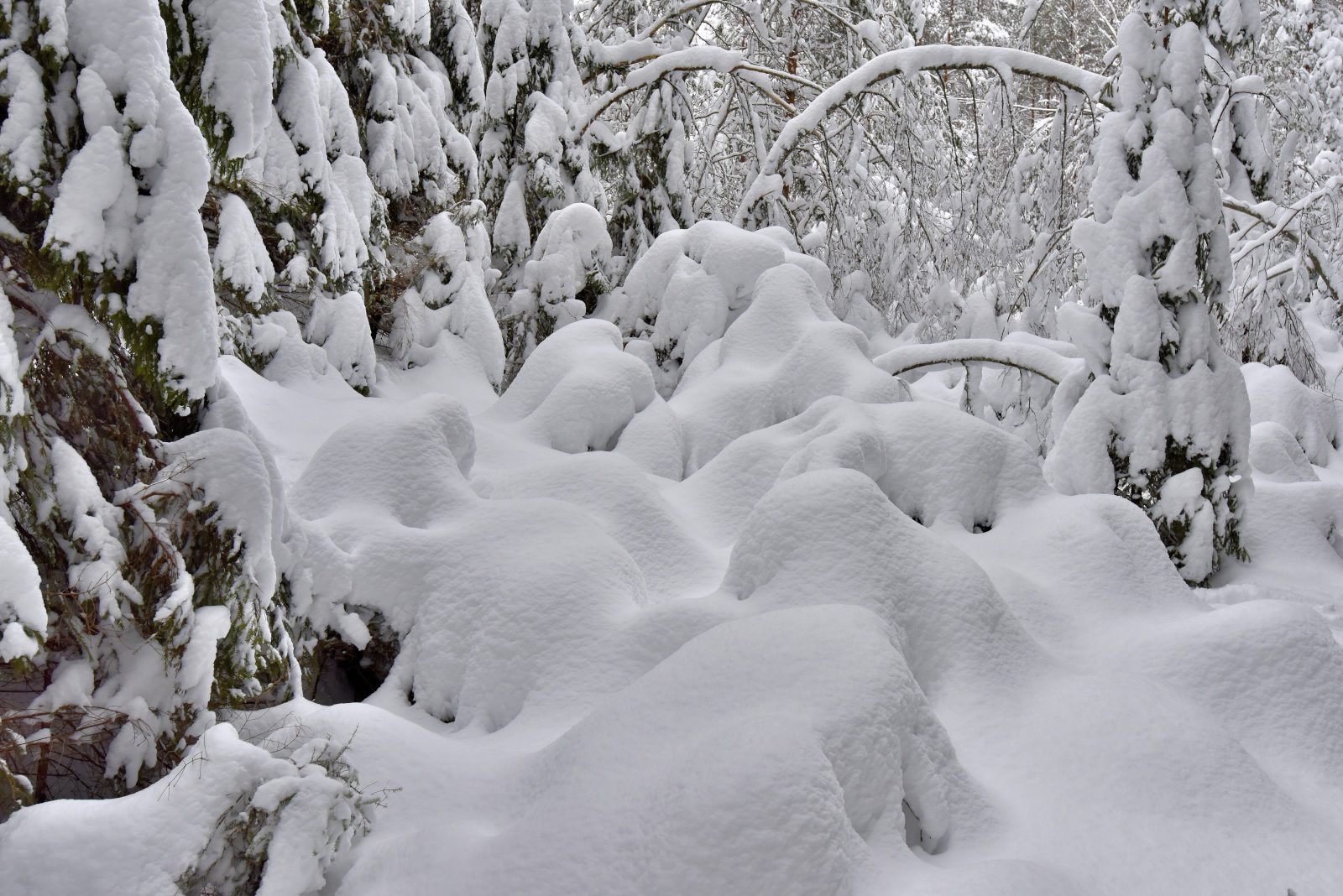Valokuvaaja: Reijo Juurinen