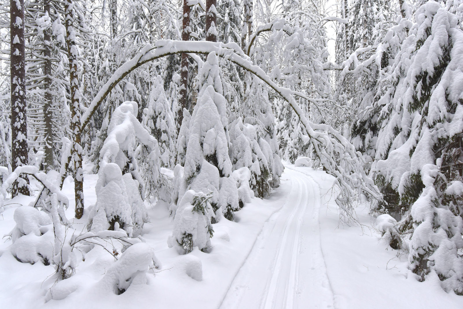 Valokuvaaja: Reijo Juurinen