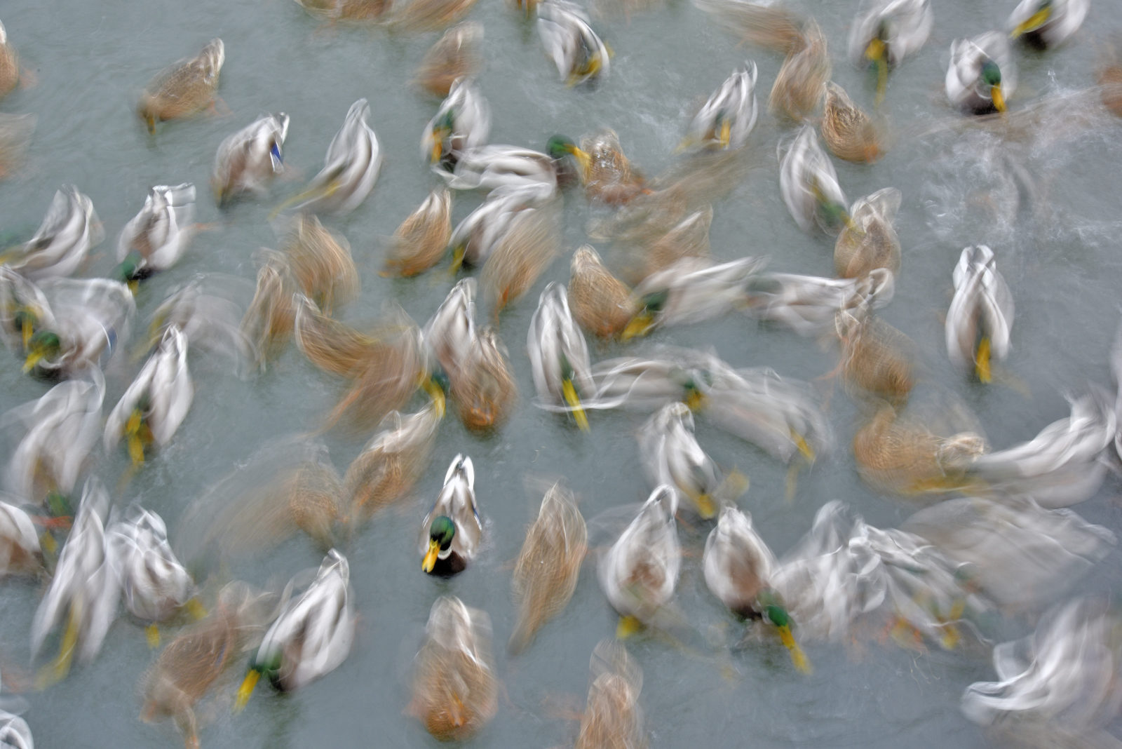 Valokuvaaja: Reijo Juurinen