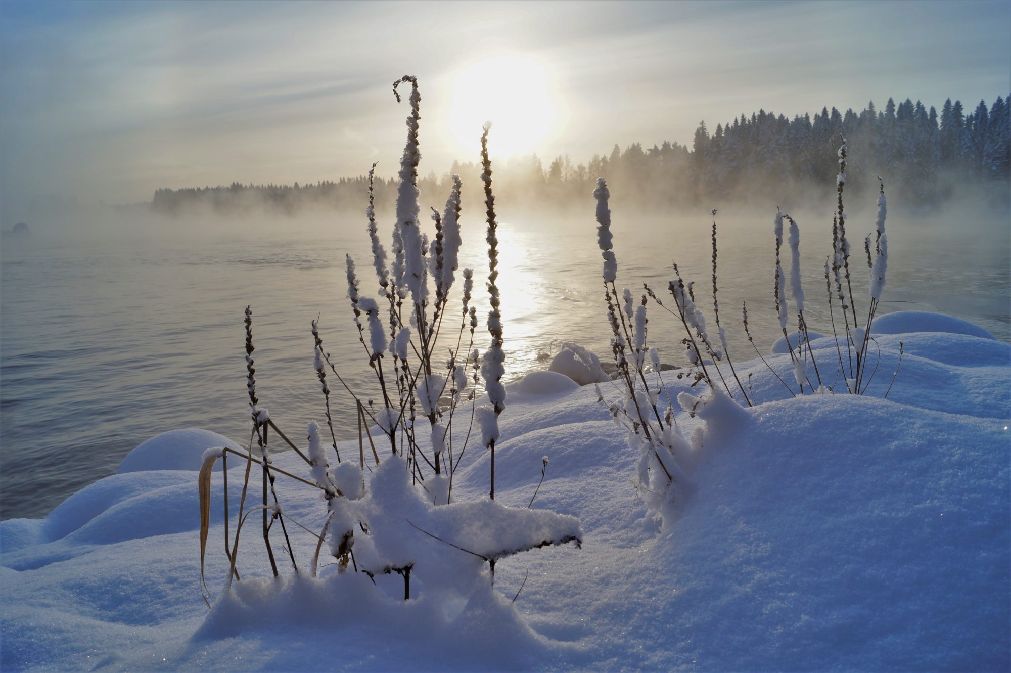 Valokuvaaja: Maarit Siitonen