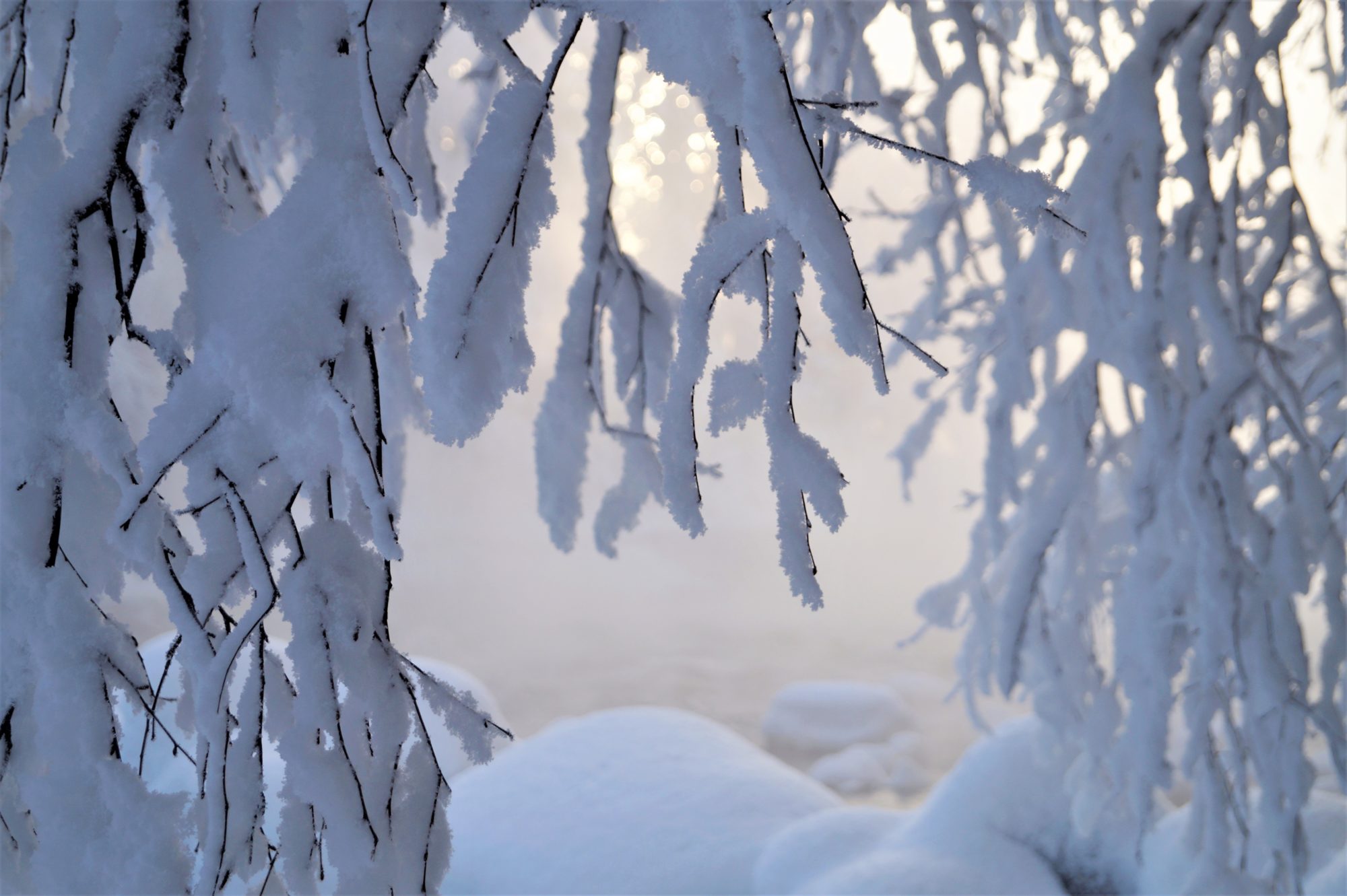 Valokuvaaja: Maarit Siitonen
