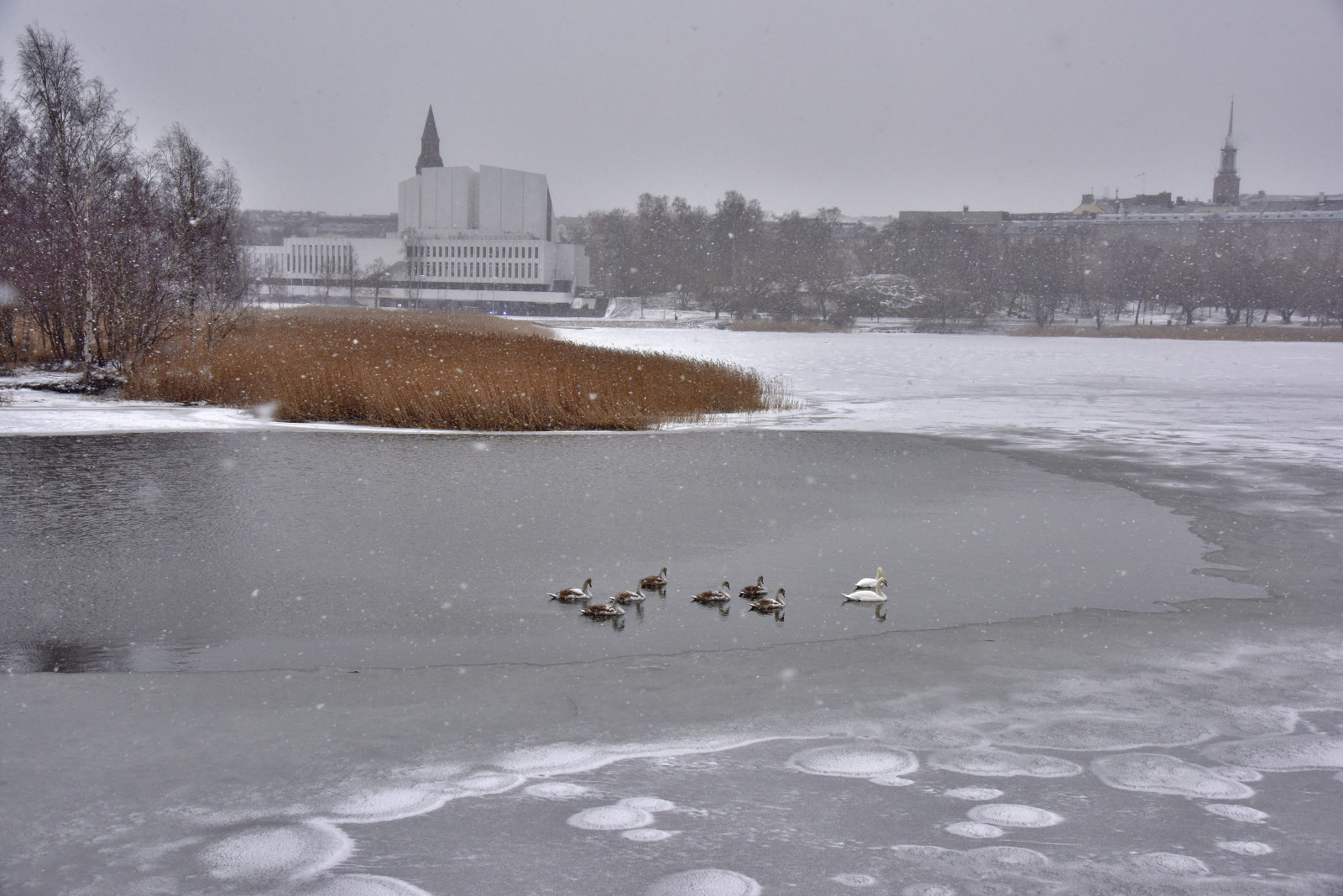 Valokuvaaja: Reijo Juurinen