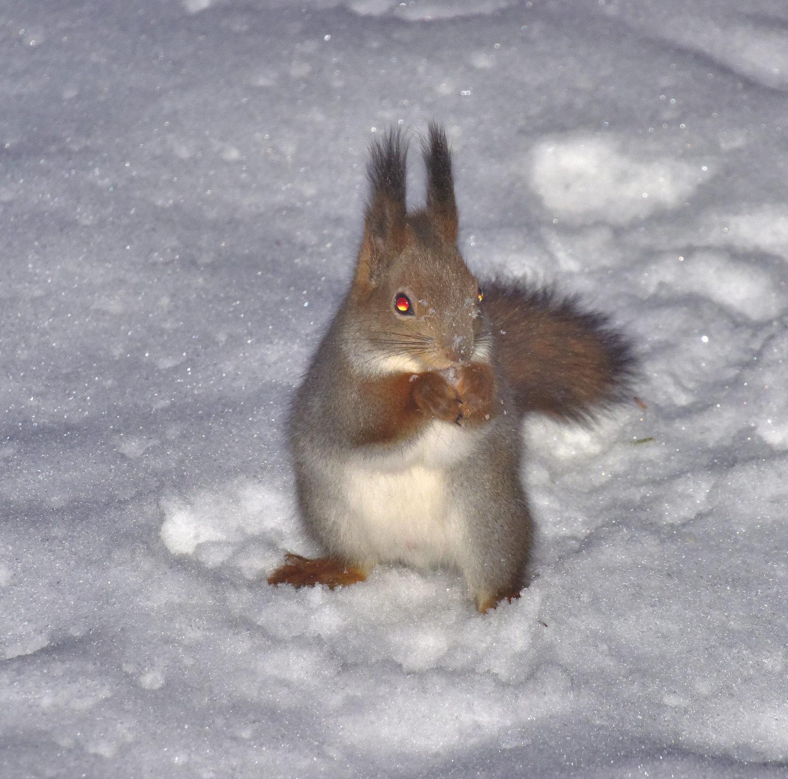 Valokuvaaja: Reijo Juurinen