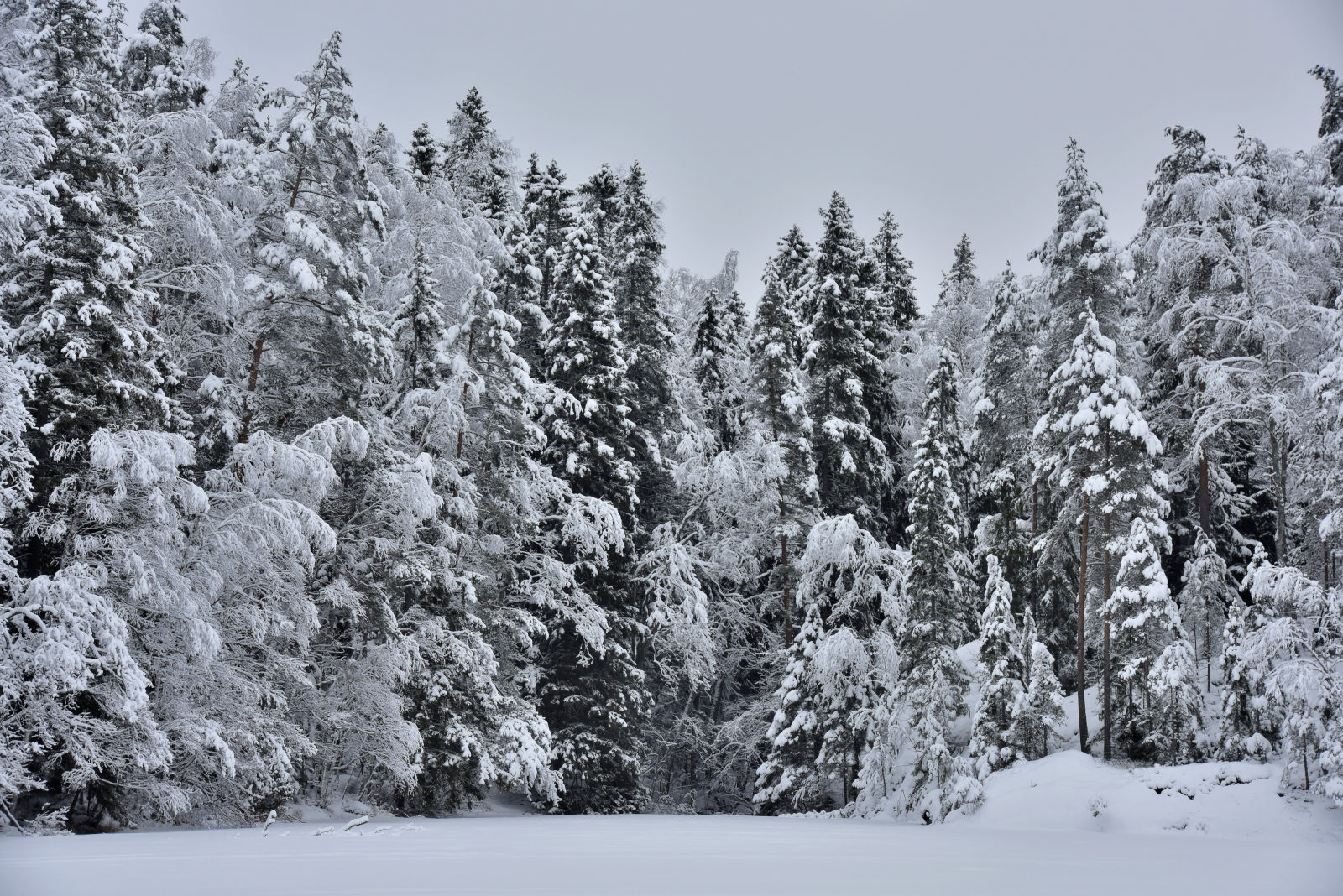 Valokuvaaja: Reijo Juurinen
