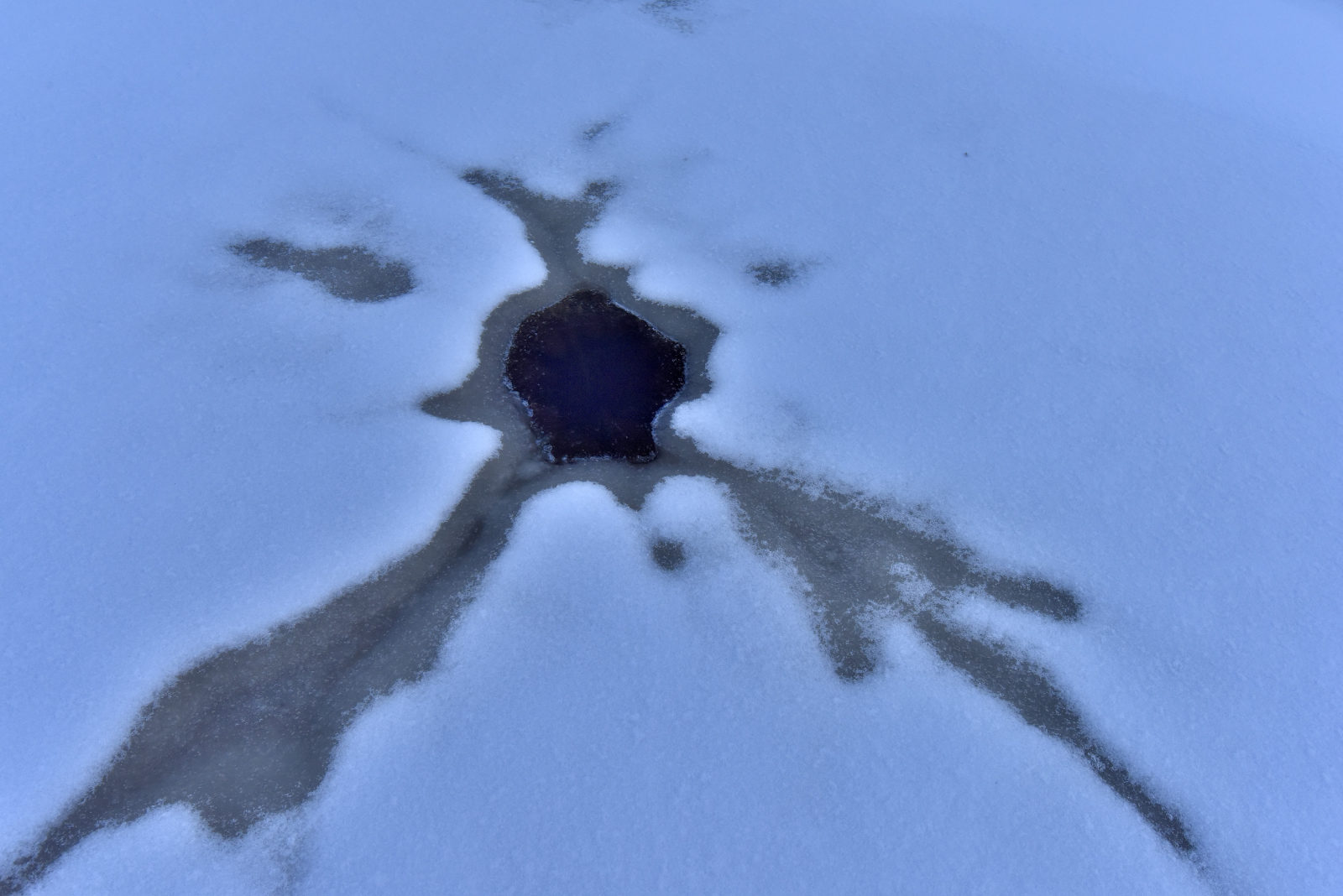 Valokuvaaja: Reijo Juurinen Valokuvaaja: Reijo Juurinen