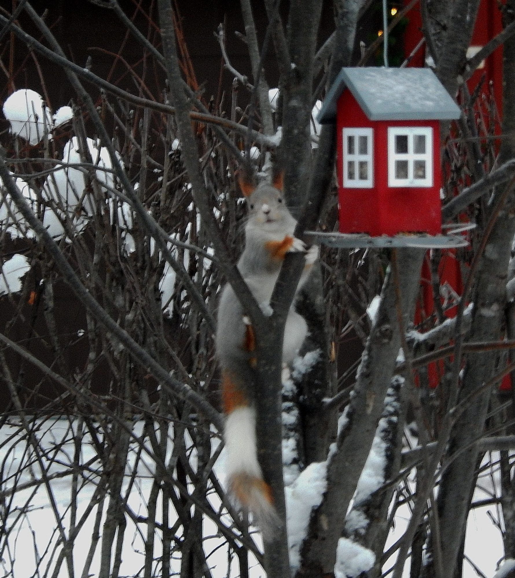 Valokuvaaja: Pirkko Siukonen