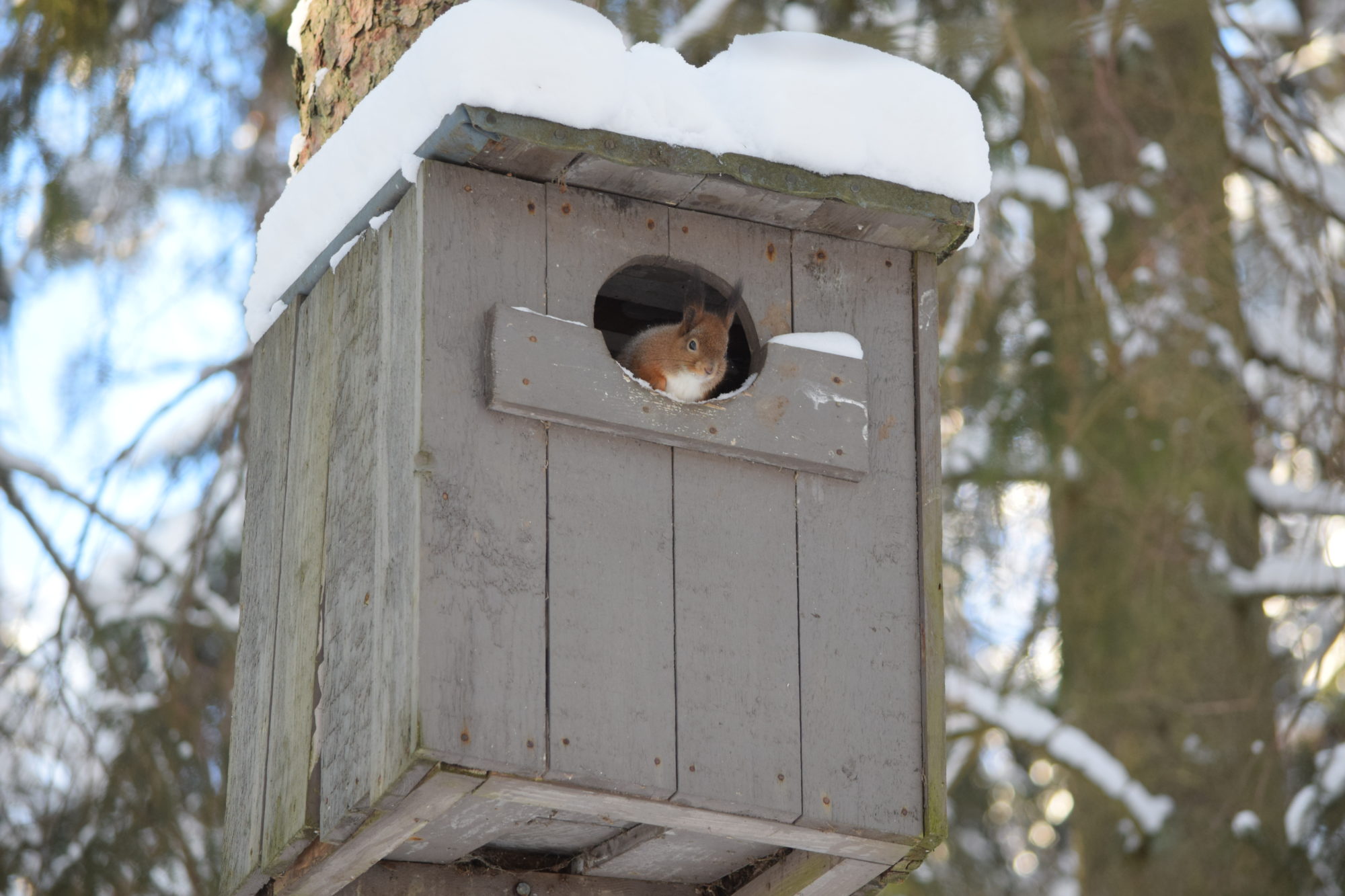 Valokuvaaja: Riitta Marjamäki