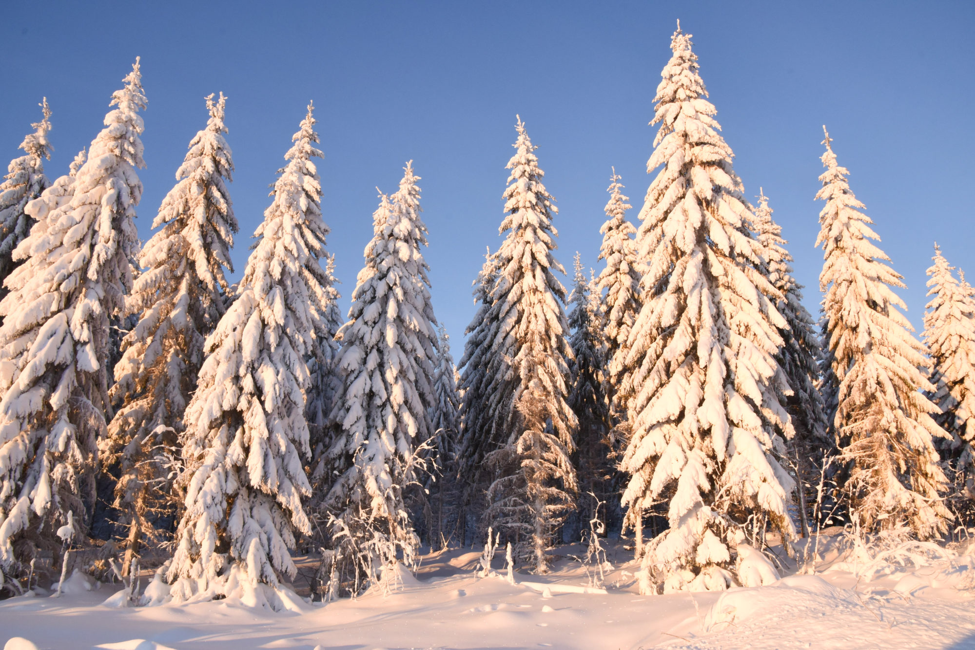 Valokuvaaja: Maija Savolainen