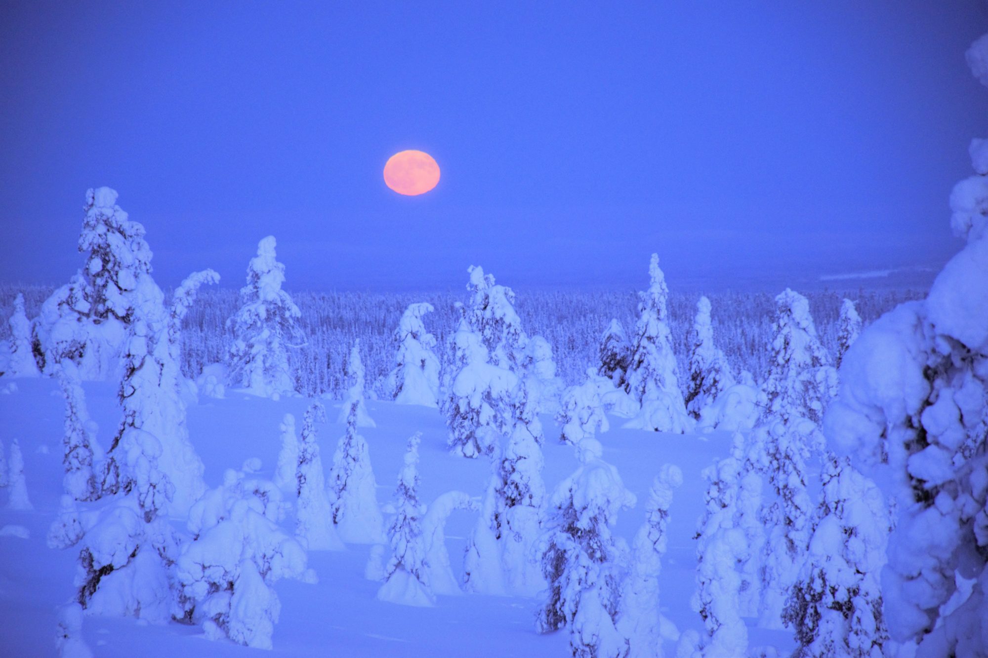 Valokuvaaja: Leena Rissanen