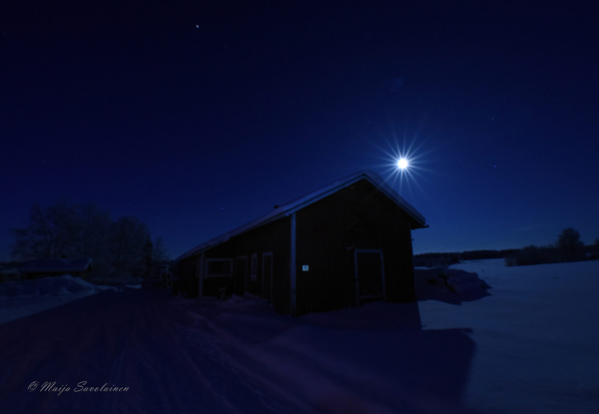Valokuvaaja: Maija Savolainen Valokuvaaja: Maija Savolainen