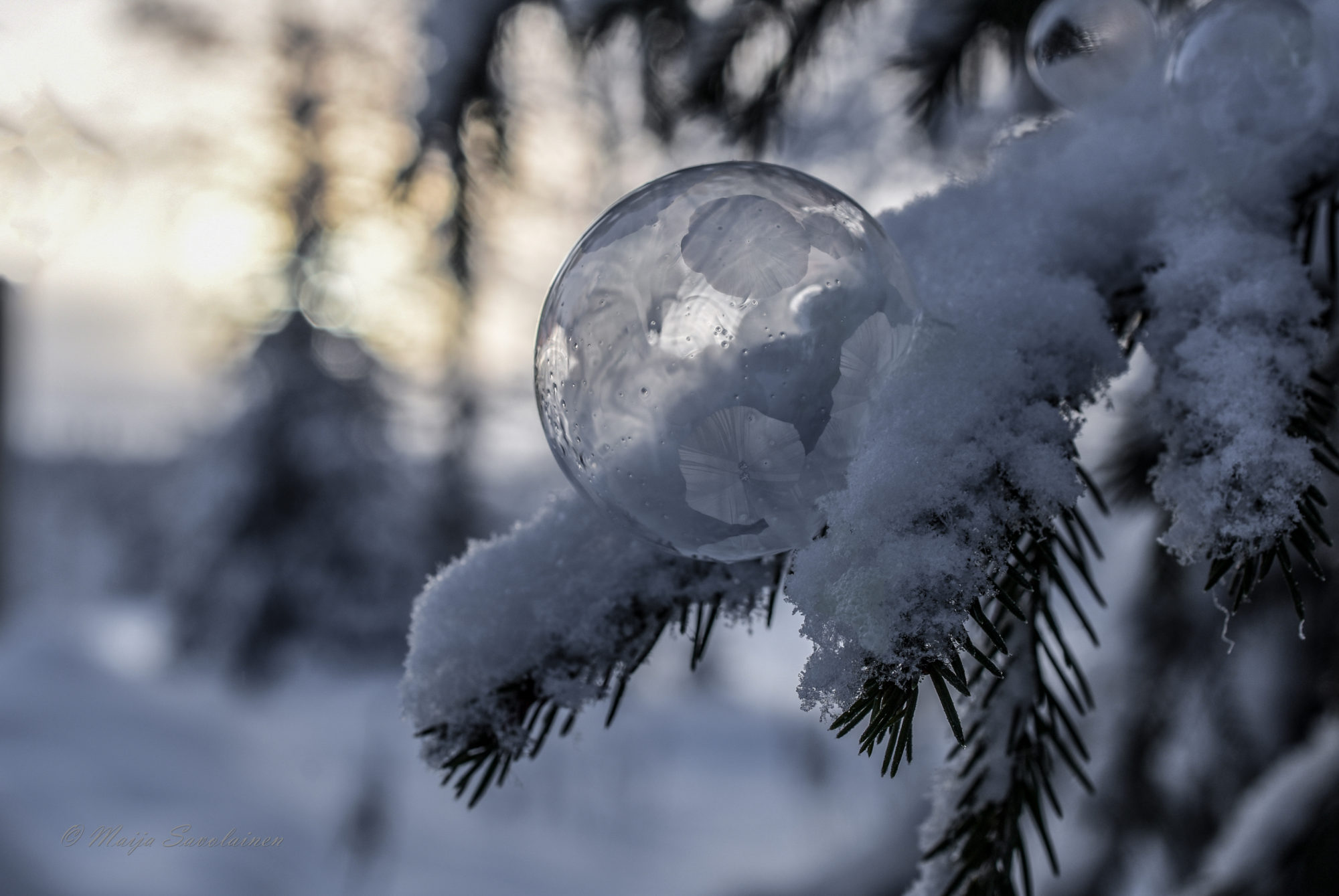 Valokuvaaja: Maija Savolainen