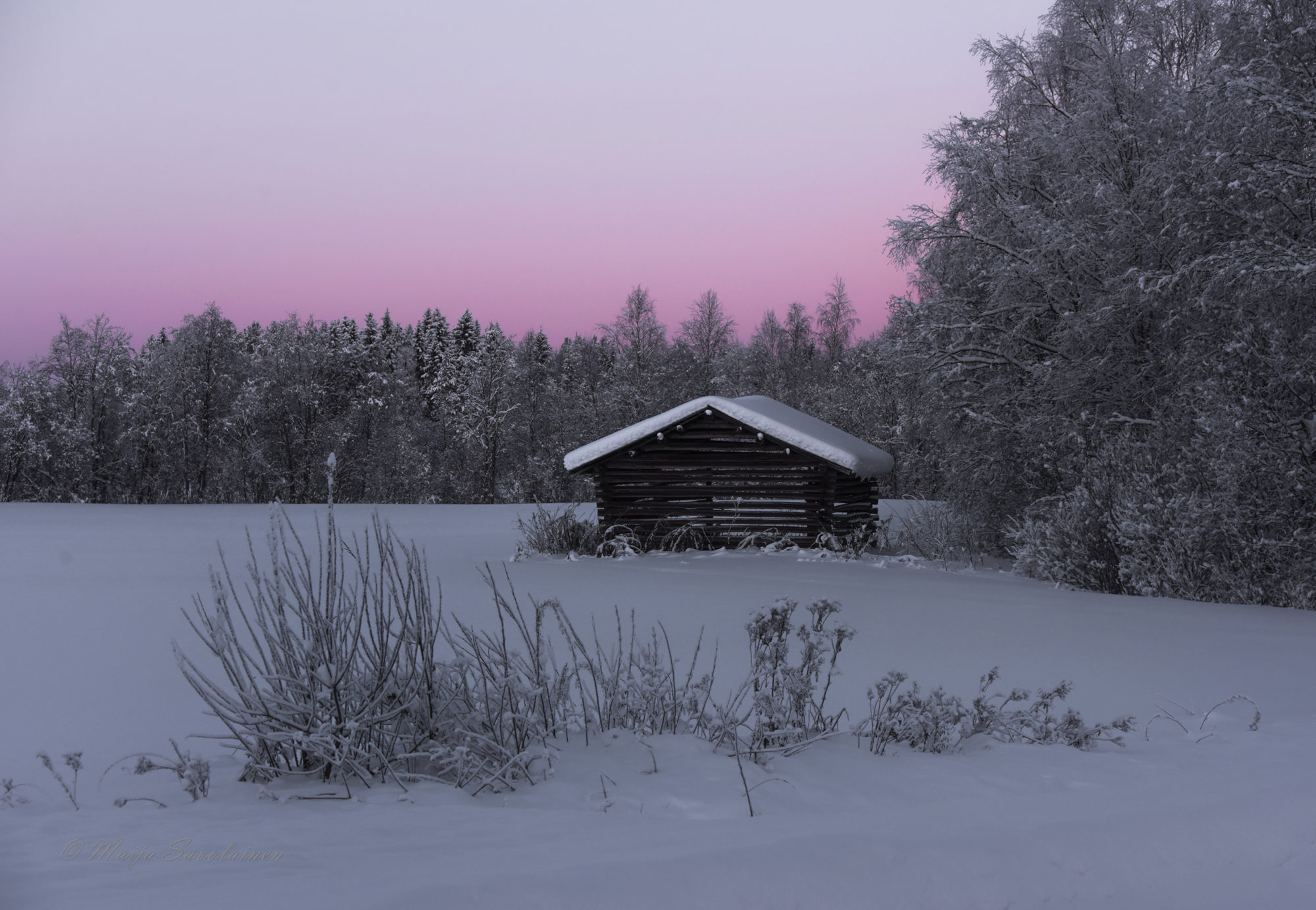 Valokuvaaja: Maija Savolainen