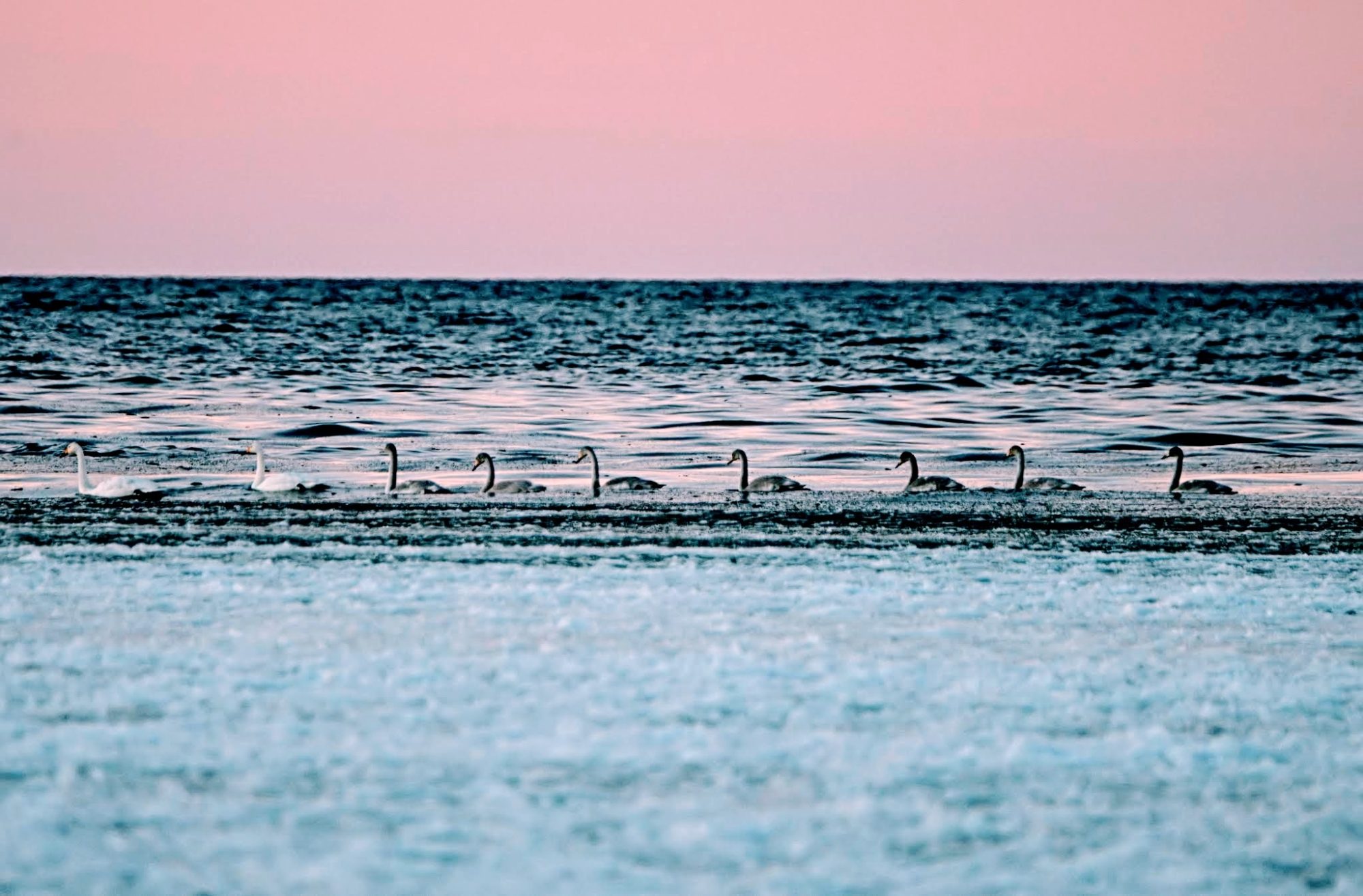 Valokuvaaja: Anja Hanhineva