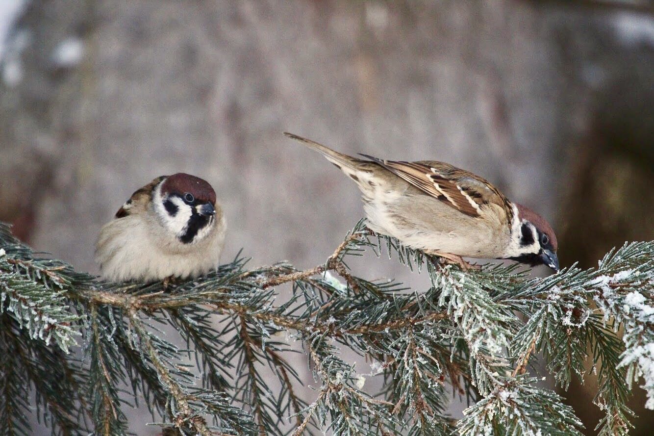 Valokuvaaja: Niko Sallinen