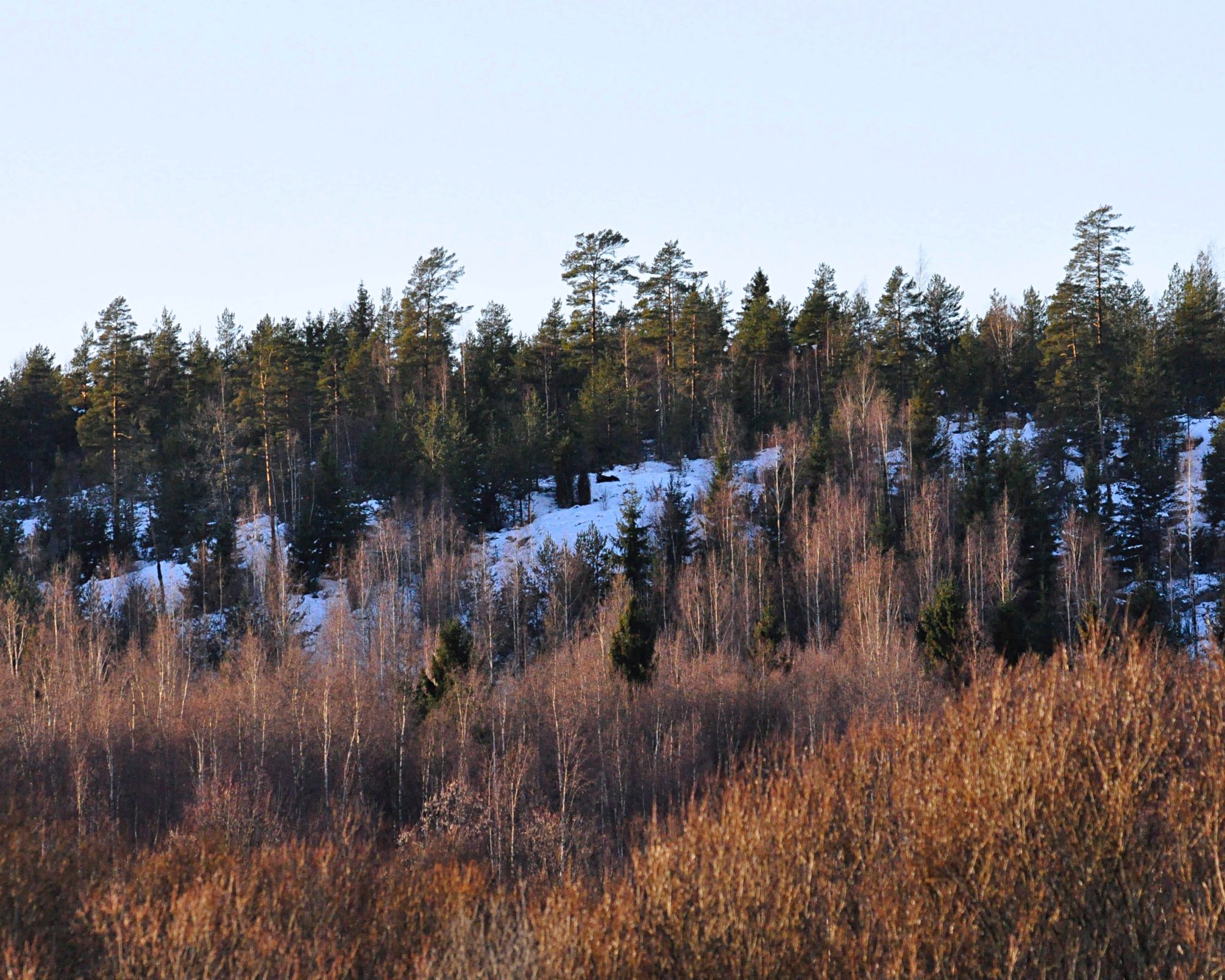 Valokuvaaja: Jenni Merilä Valokuvaaja: Jenni Merilä