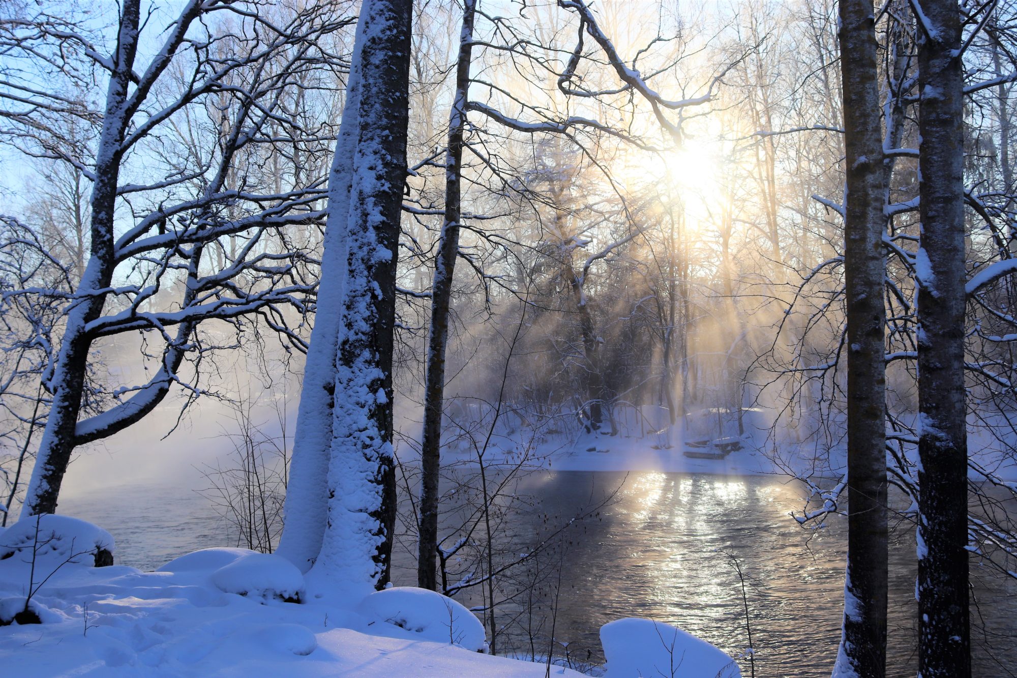 Valokuvaaja: Irja Lehtinen