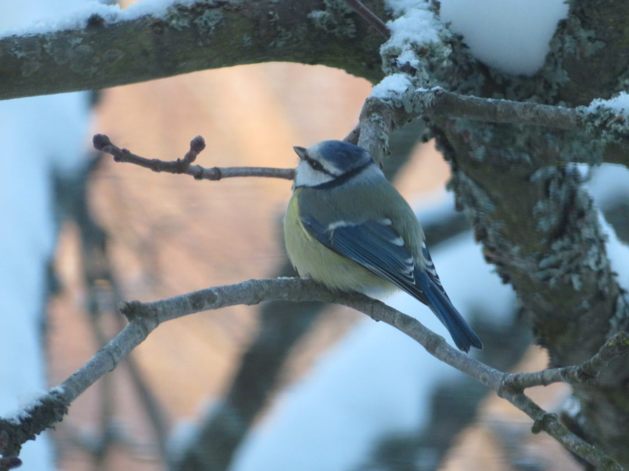 Valokuvaaja: Risto Kangassalo