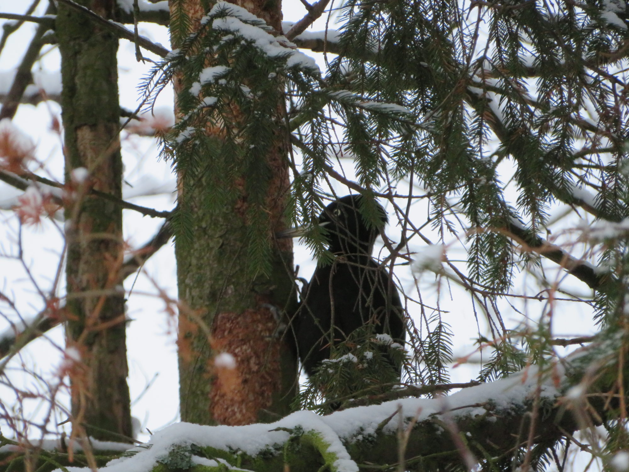 Valokuvaaja: Risto Kangassalo