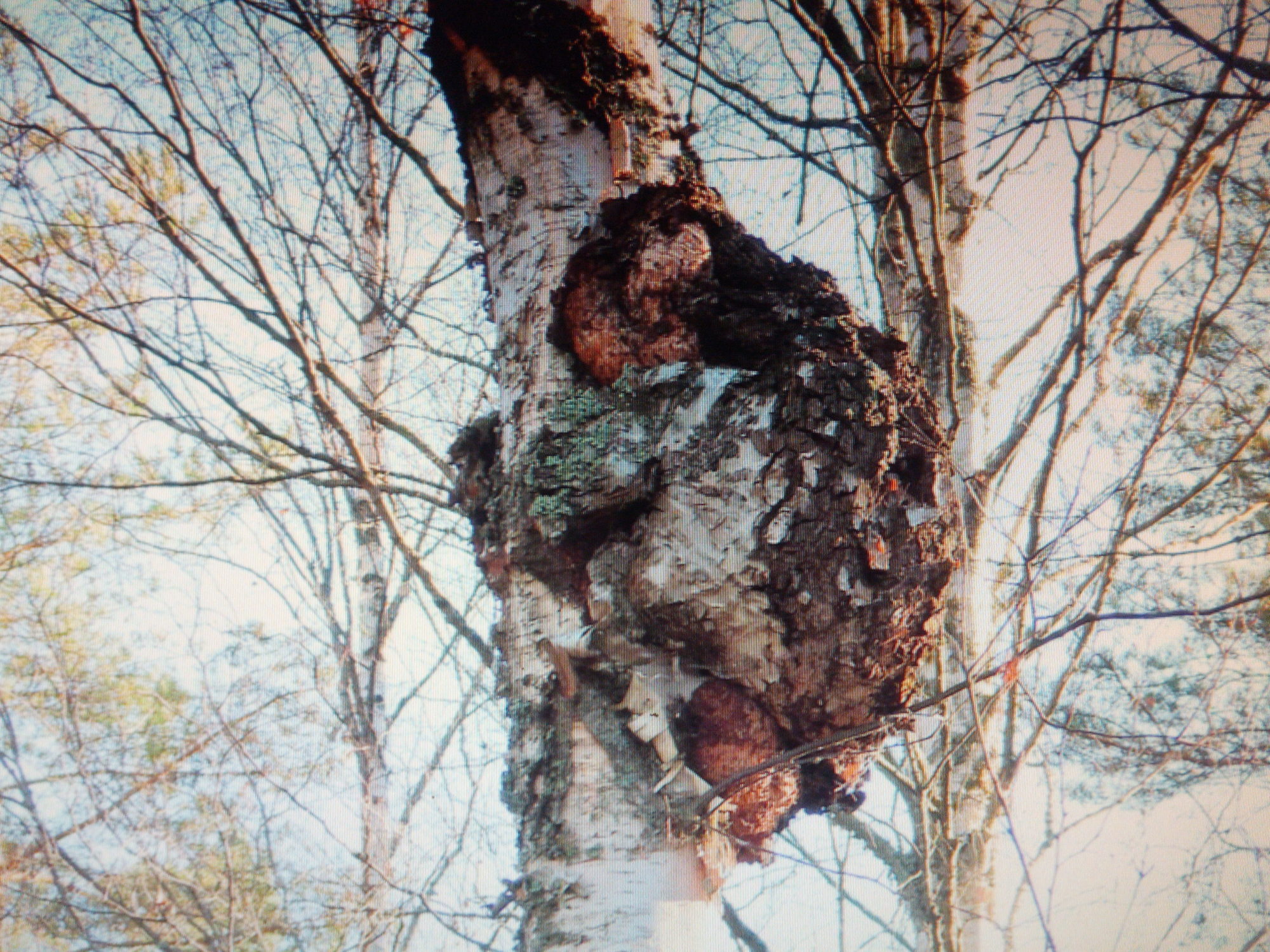 Valokuvaaja: Seppo Mäkelä