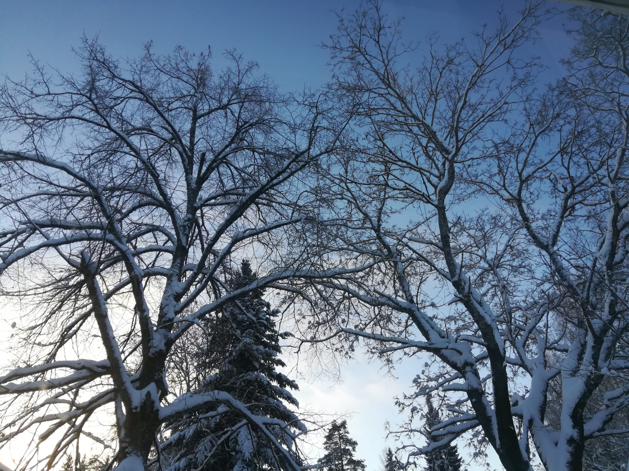 Valokuvaaja: Tapio Keinonen