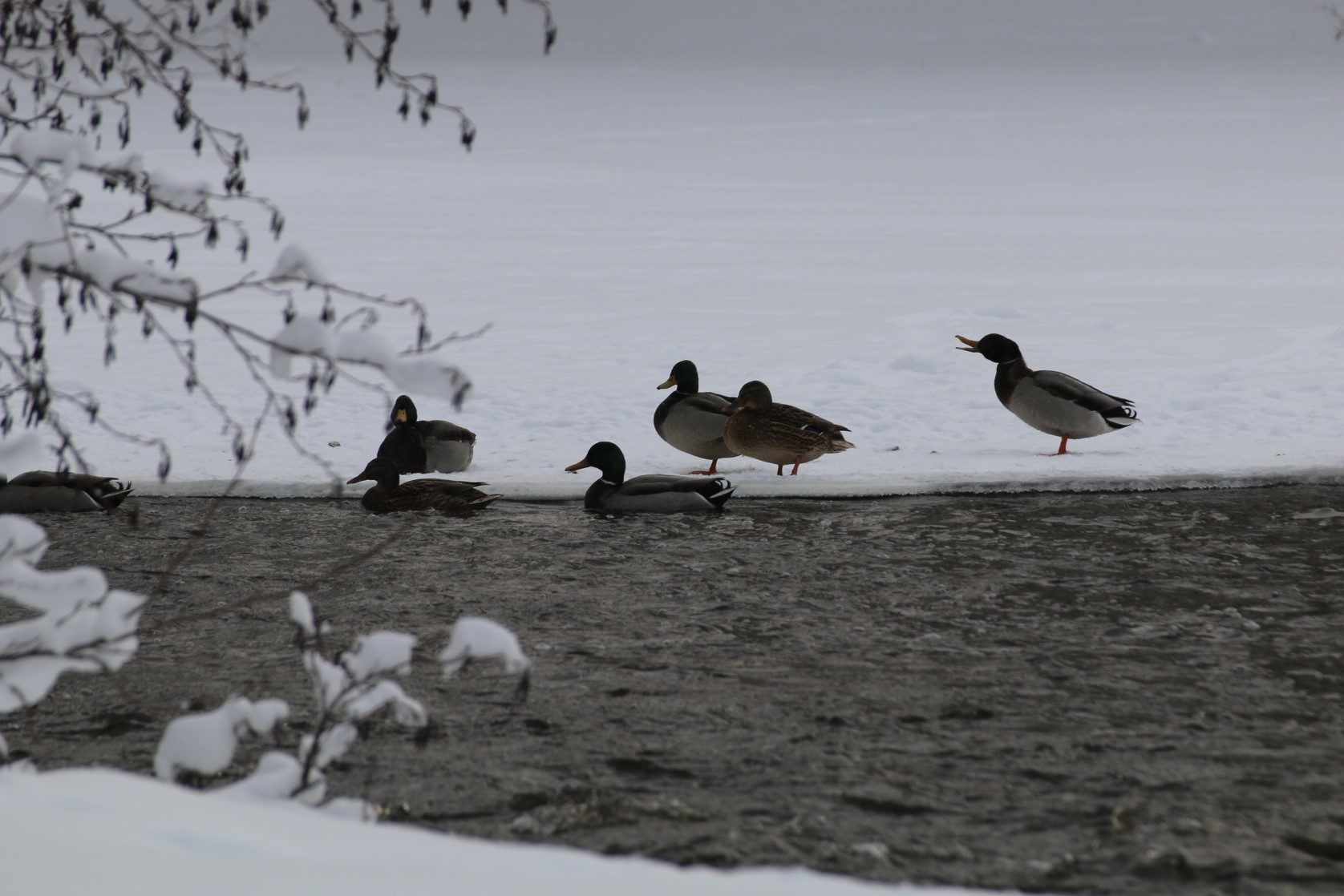 Valokuvaaja: Teija Järvenpää