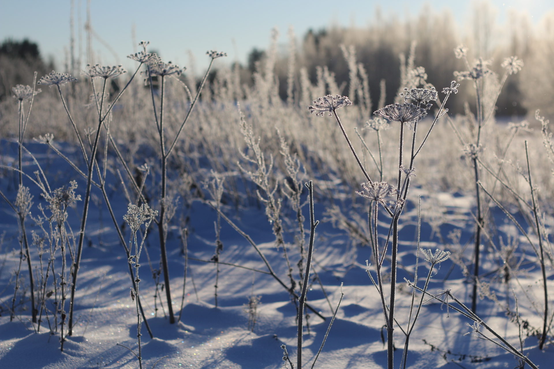 Valokuvaaja: Teija Järvenpää