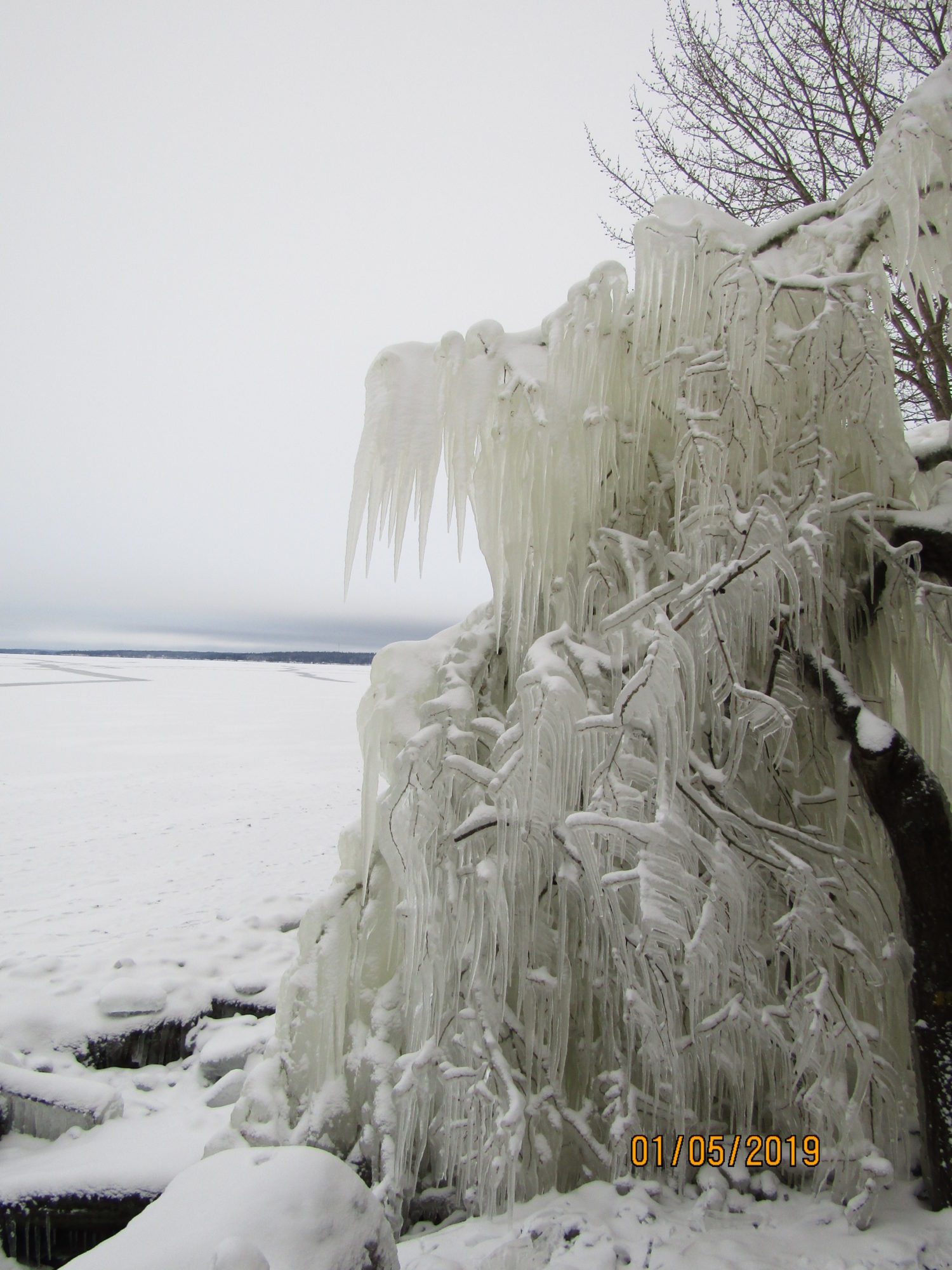 Valokuvaaja: Teija Matikka Valokuvaaja: Teija Matikka