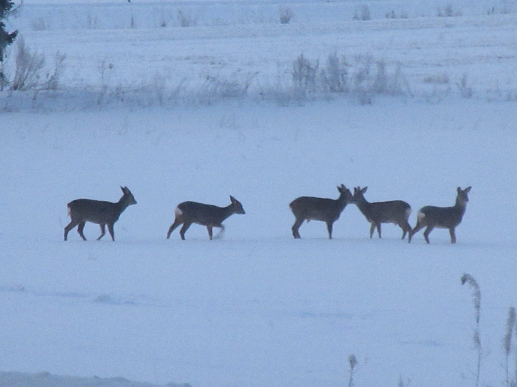 Valokuvaaja: Terttu Rantanen