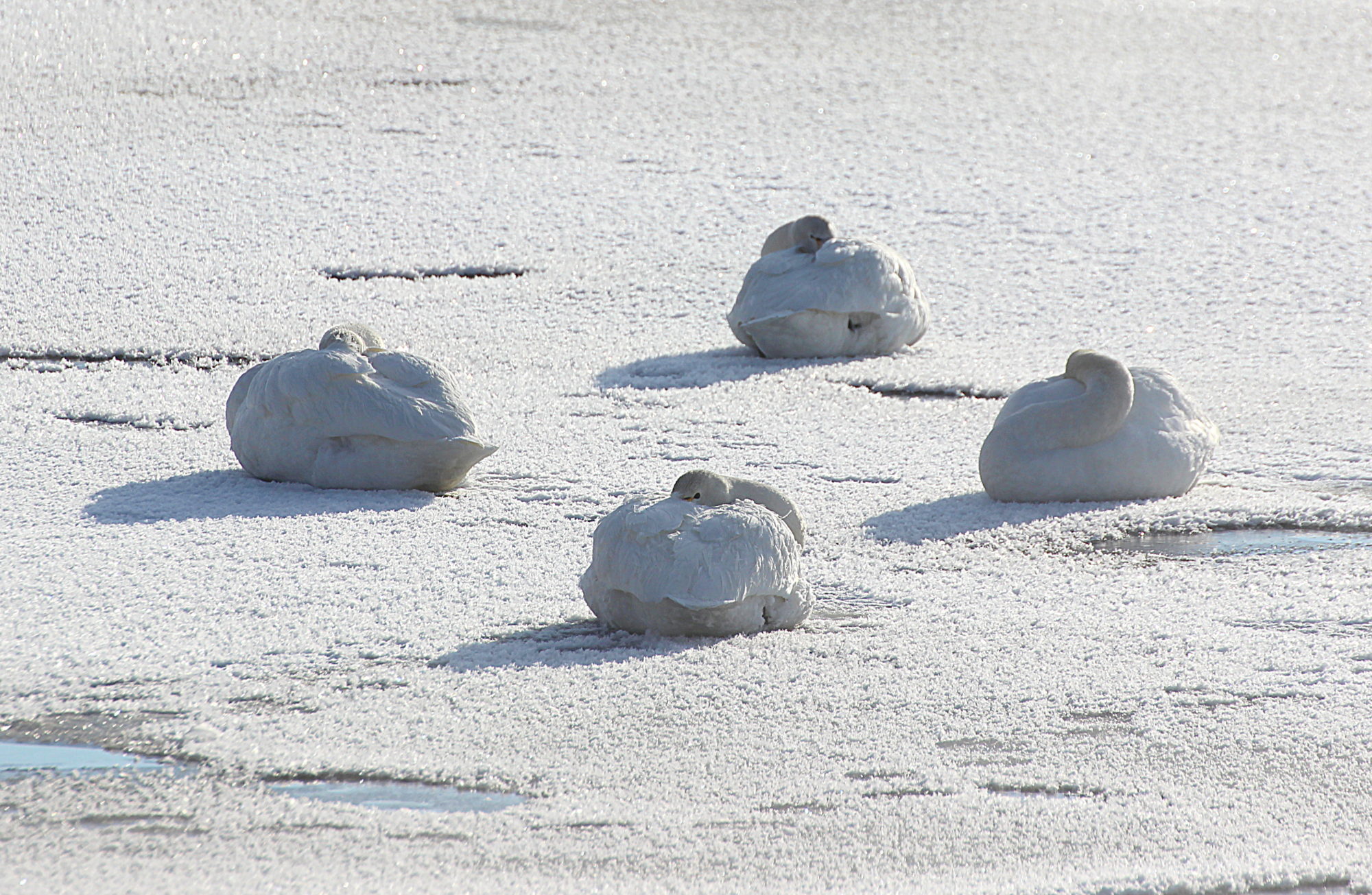 Valokuvaaja: Irja Lehtinen