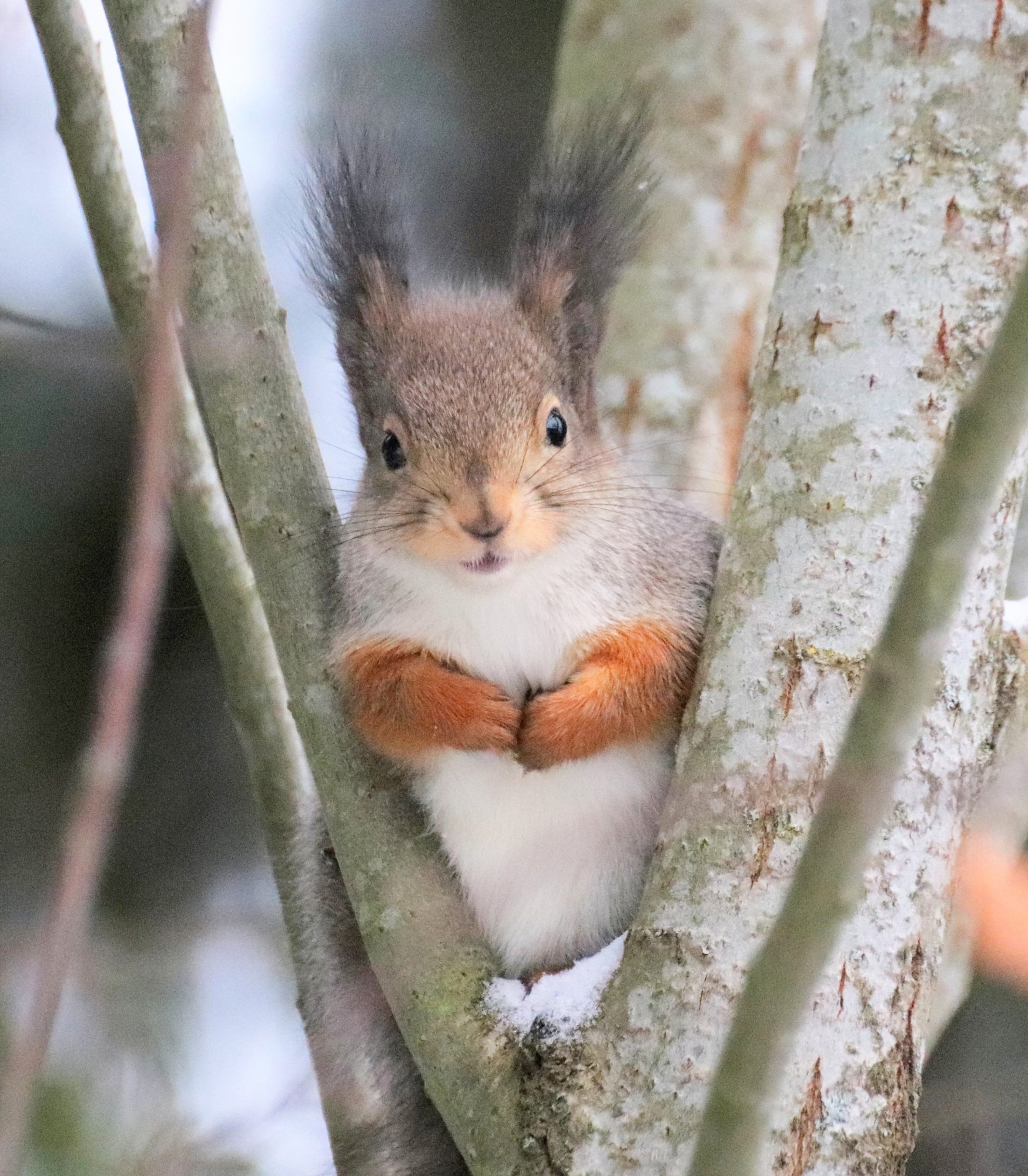 Valokuvaaja: Irja Lehtinen Valokuvaaja: Irja Lehtinen