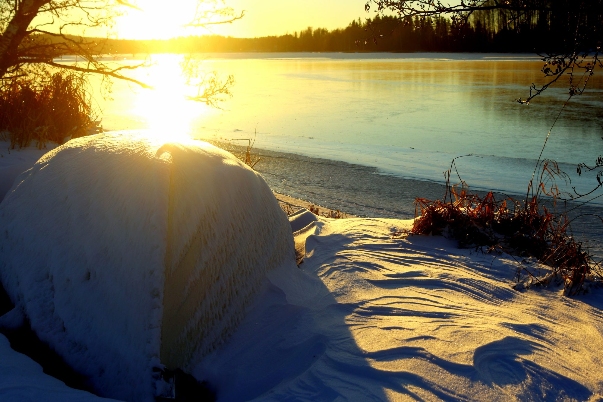 Valokuvaaja: Irja Lehtinen