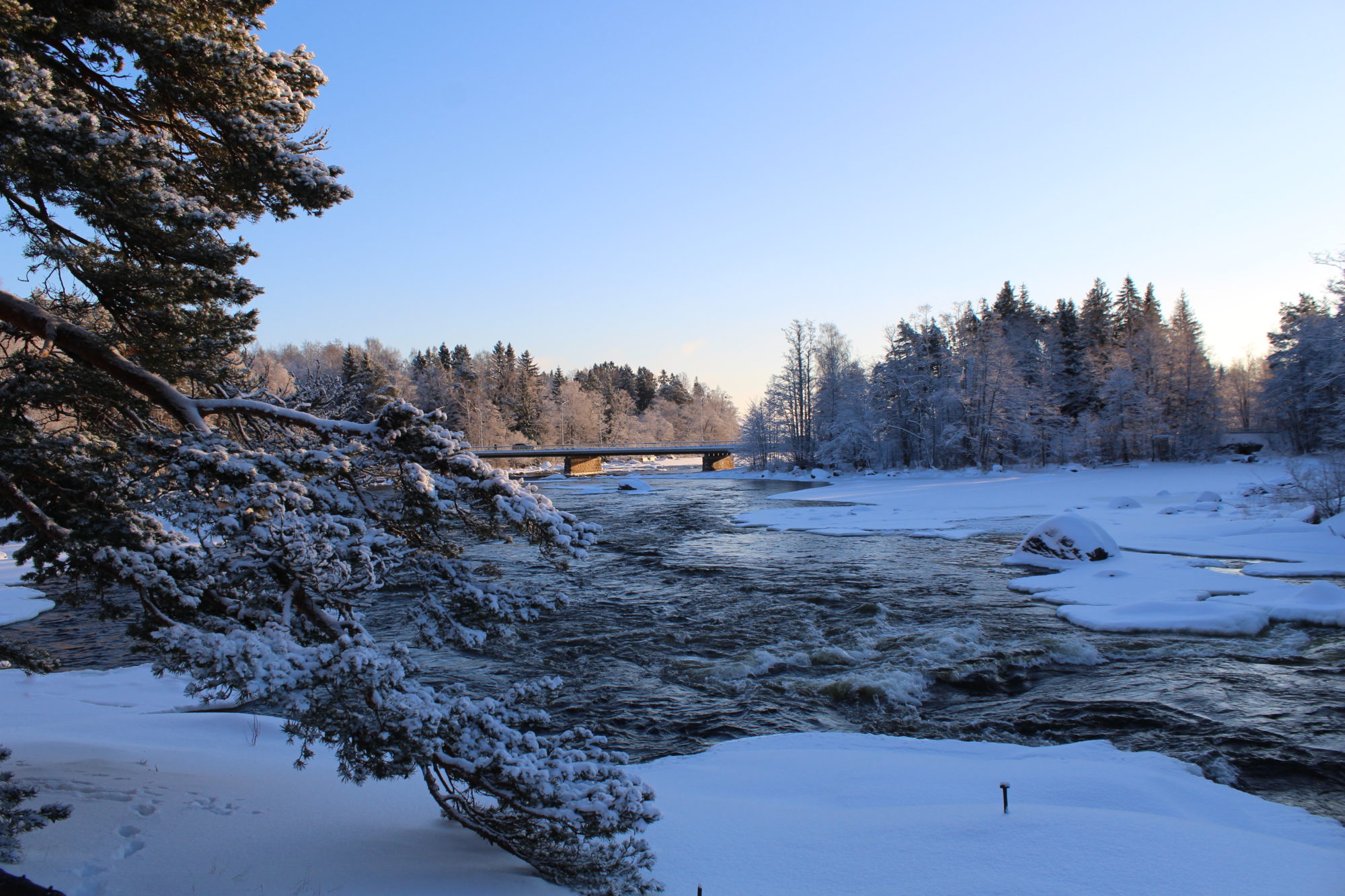 Valokuvaaja: Kirsi-Marja Joenpolvi