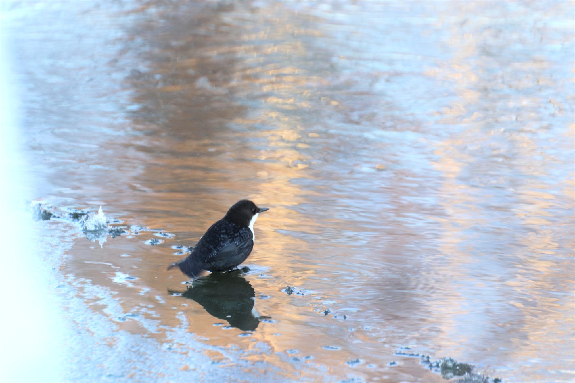 Valokuvaaja: Irja Lehtinen