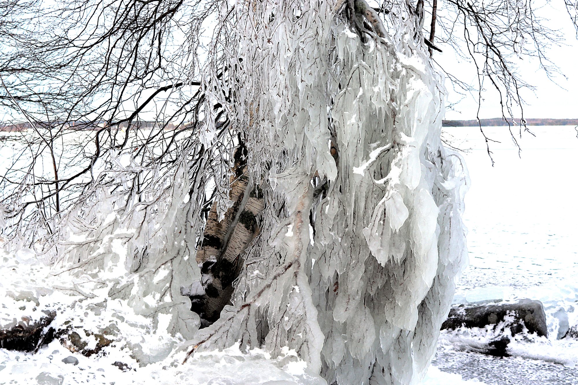 Valokuvaaja: Irja Lehtinen