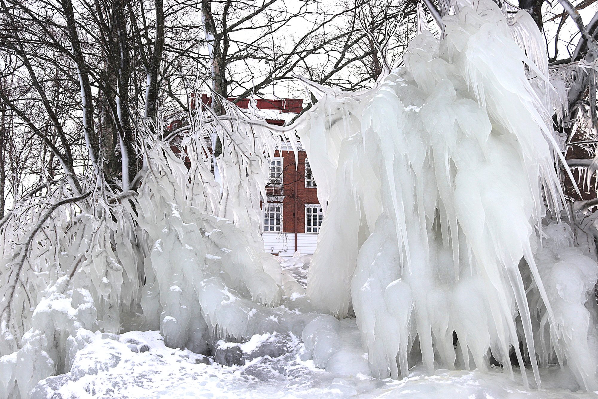 Valokuvaaja: Irja Lehtinen