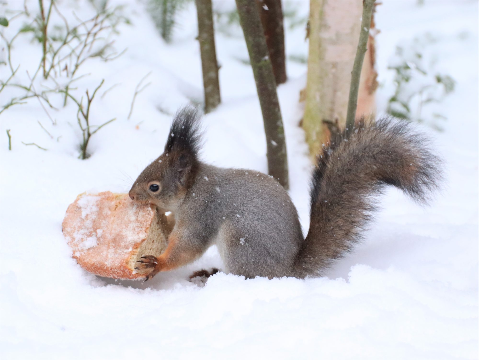 Valokuvaaja: Irja Lehtinen