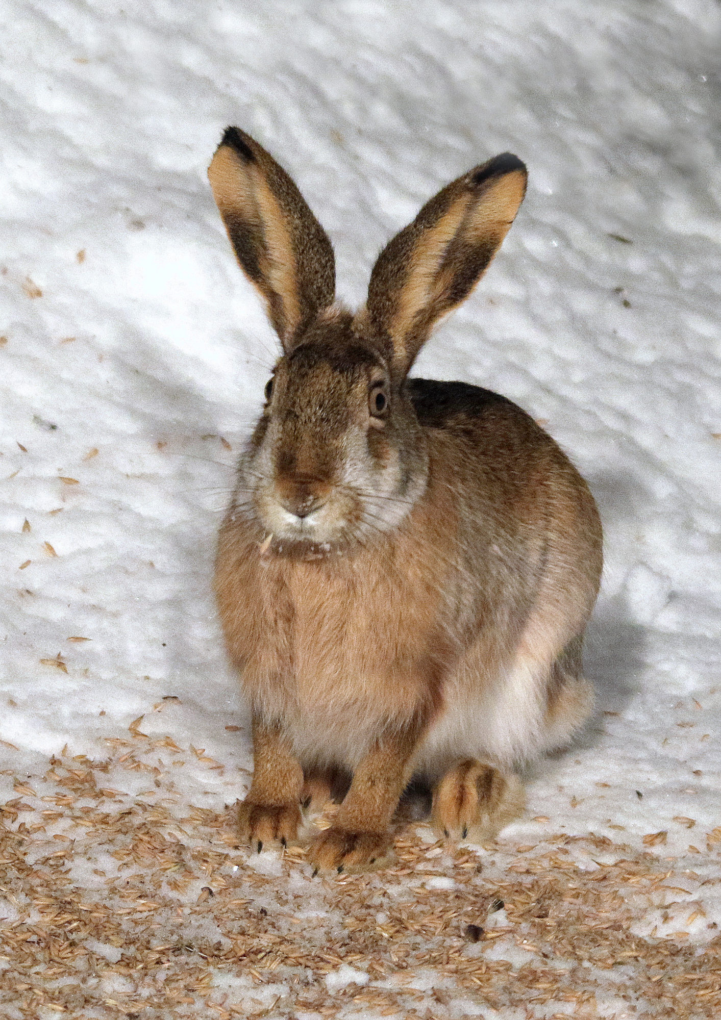 Valokuvaaja: Hannu Rasiranta