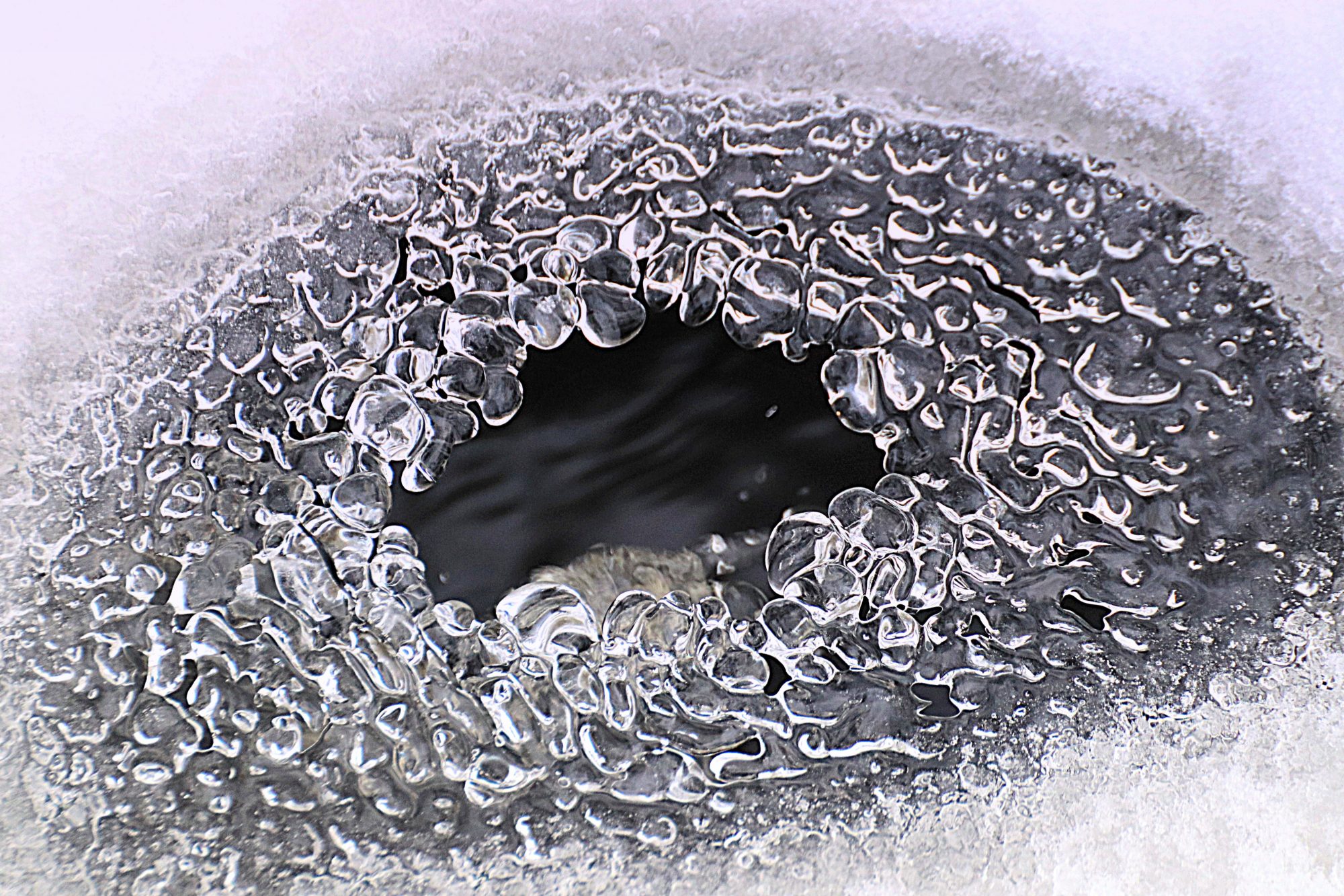 Valokuvaaja: Irja Lehtinen