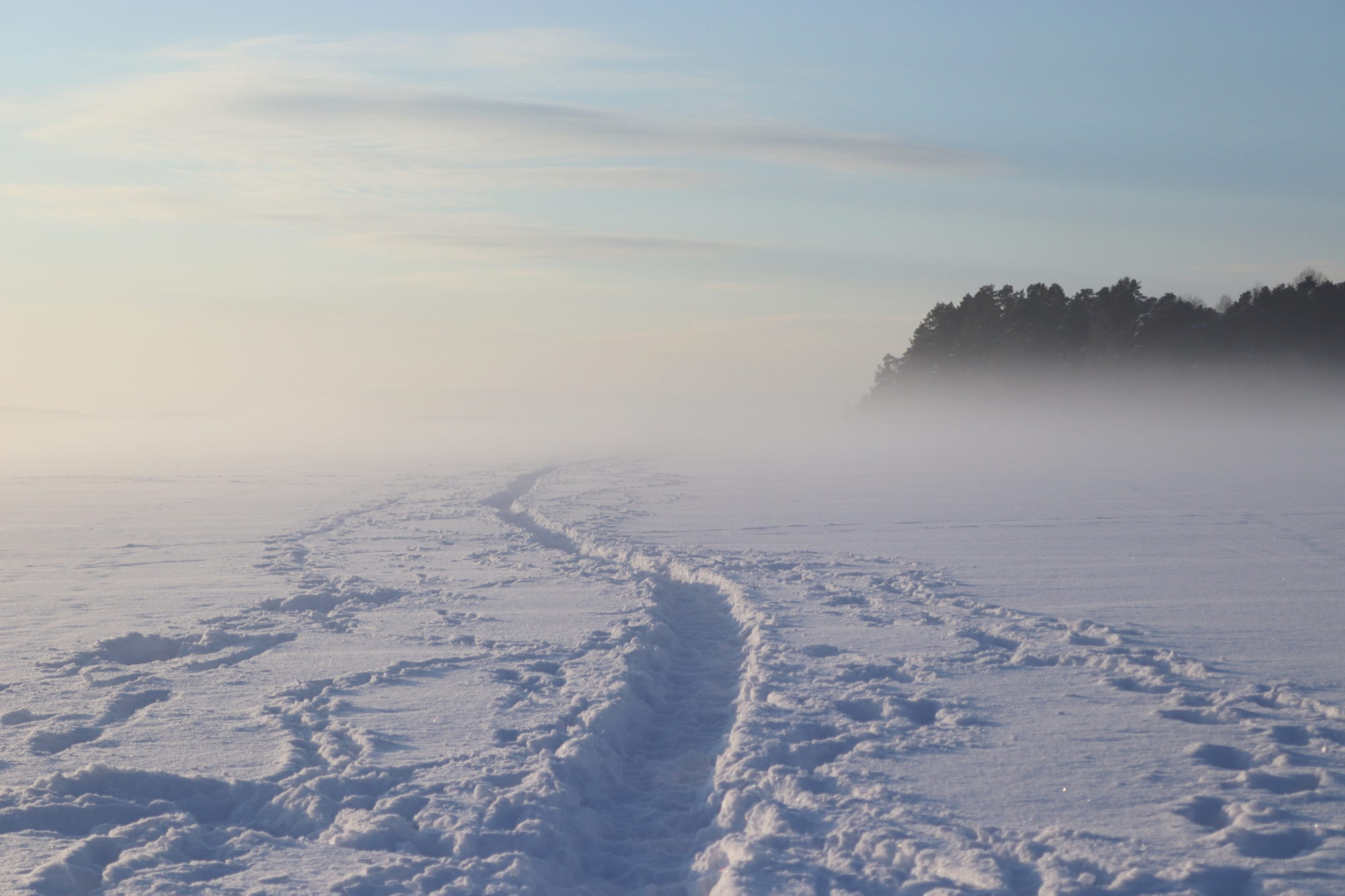 Valokuvaaja: Irja Lehtinen