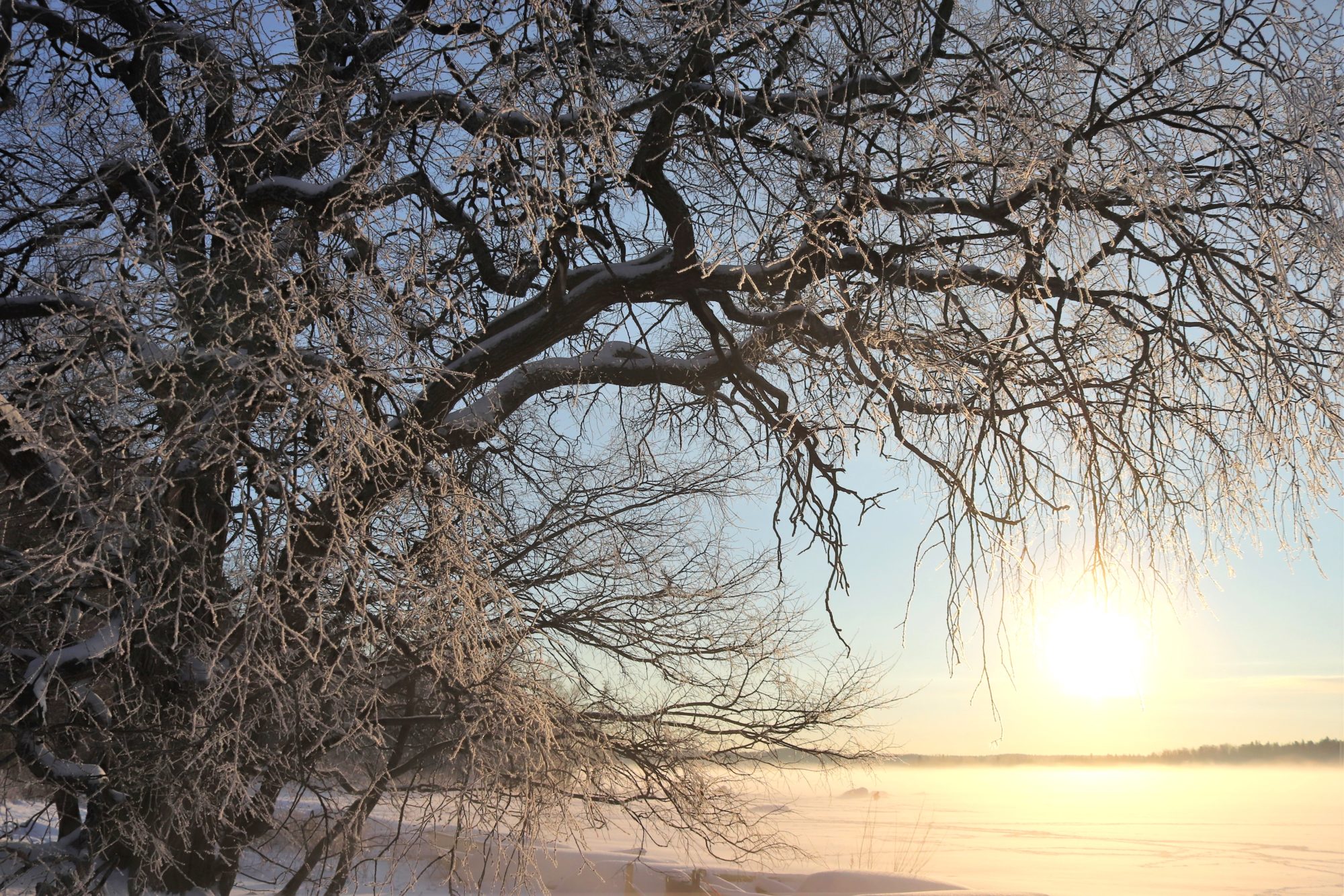 Valokuvaaja: Irja Lehtinen