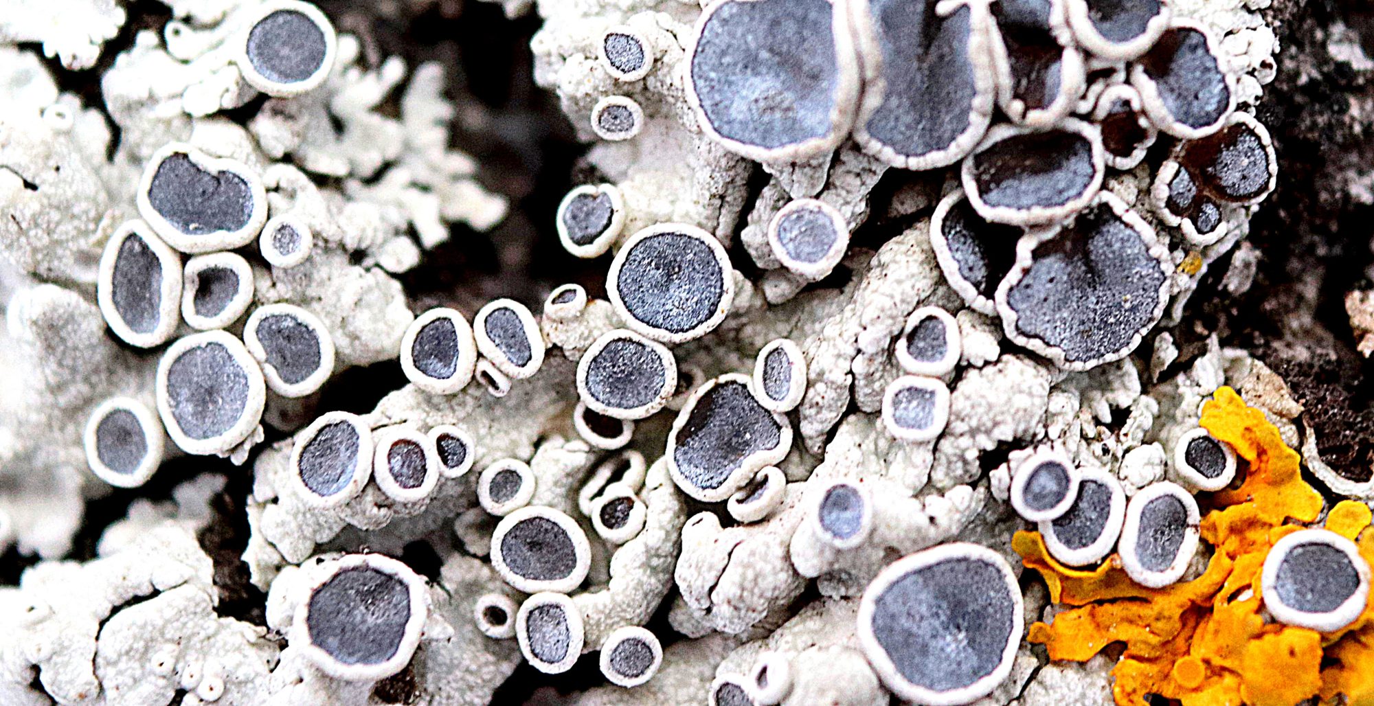 Valokuvaaja: Irja Lehtinen