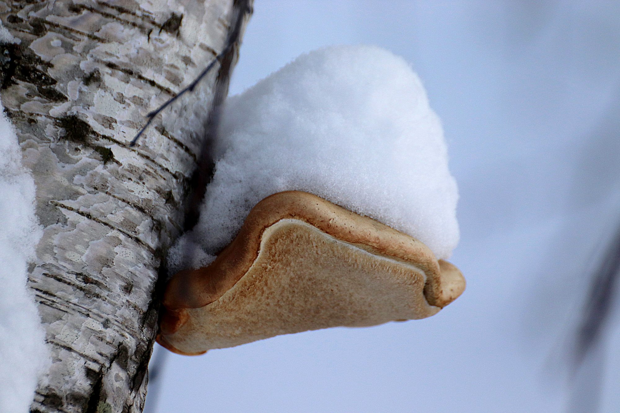 Valokuvaaja: Irja Lehtinen